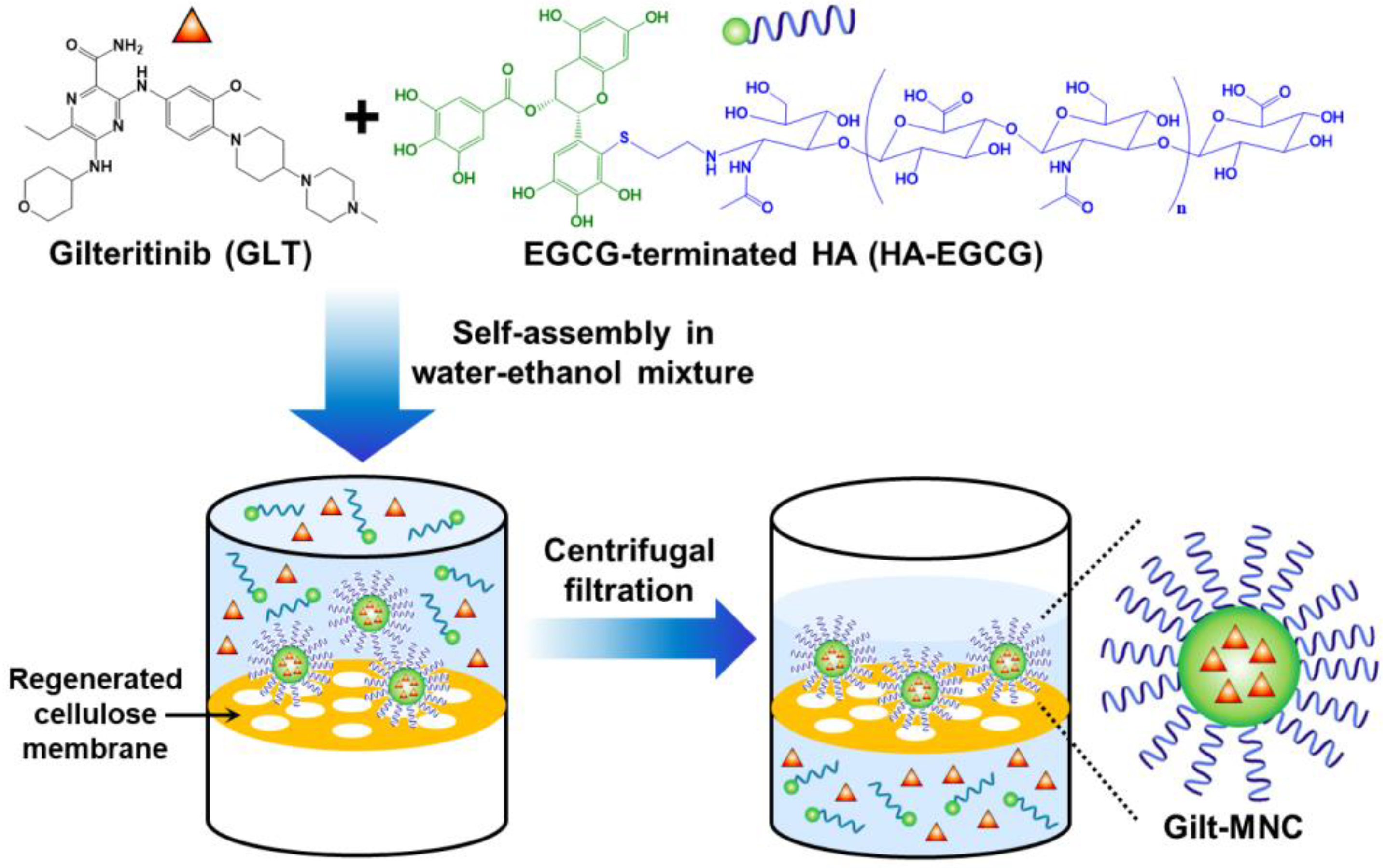 Polymers 16 00225 g001