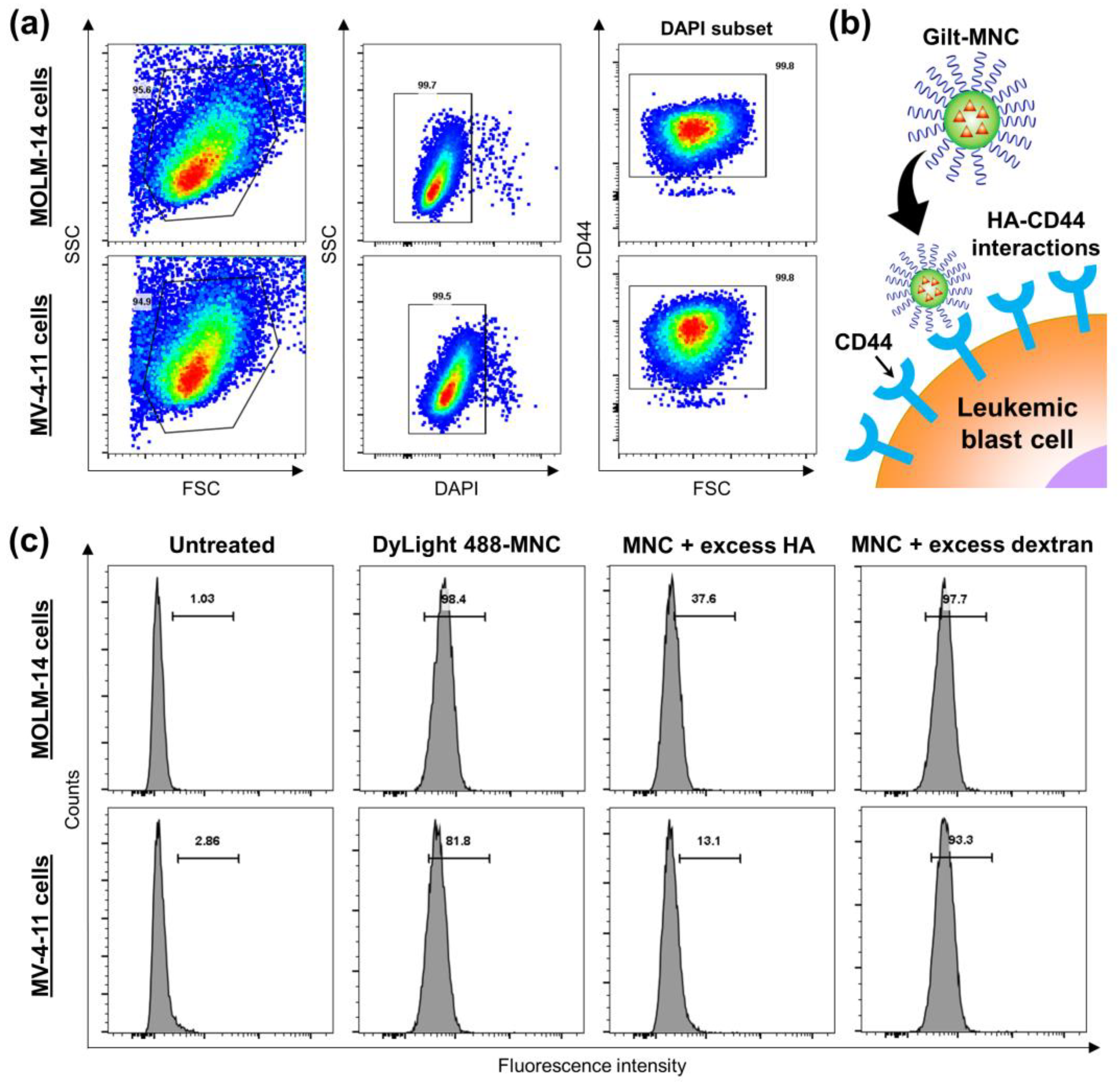 Polymers 16 00225 g005