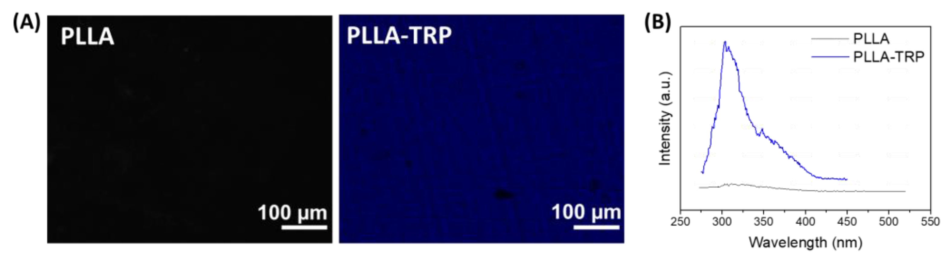 Polymers 16 00246 g004