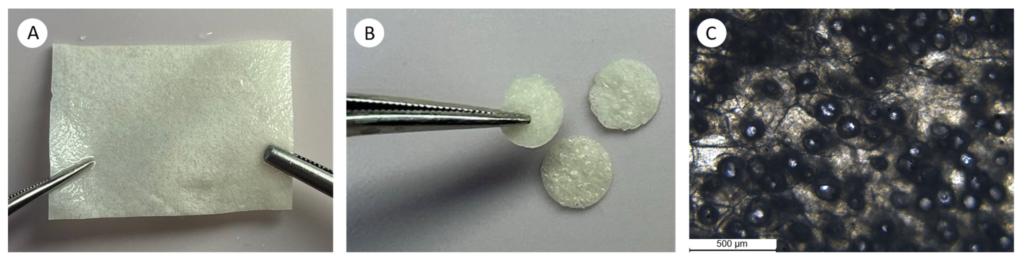 Polymers 16 00248 g0a1