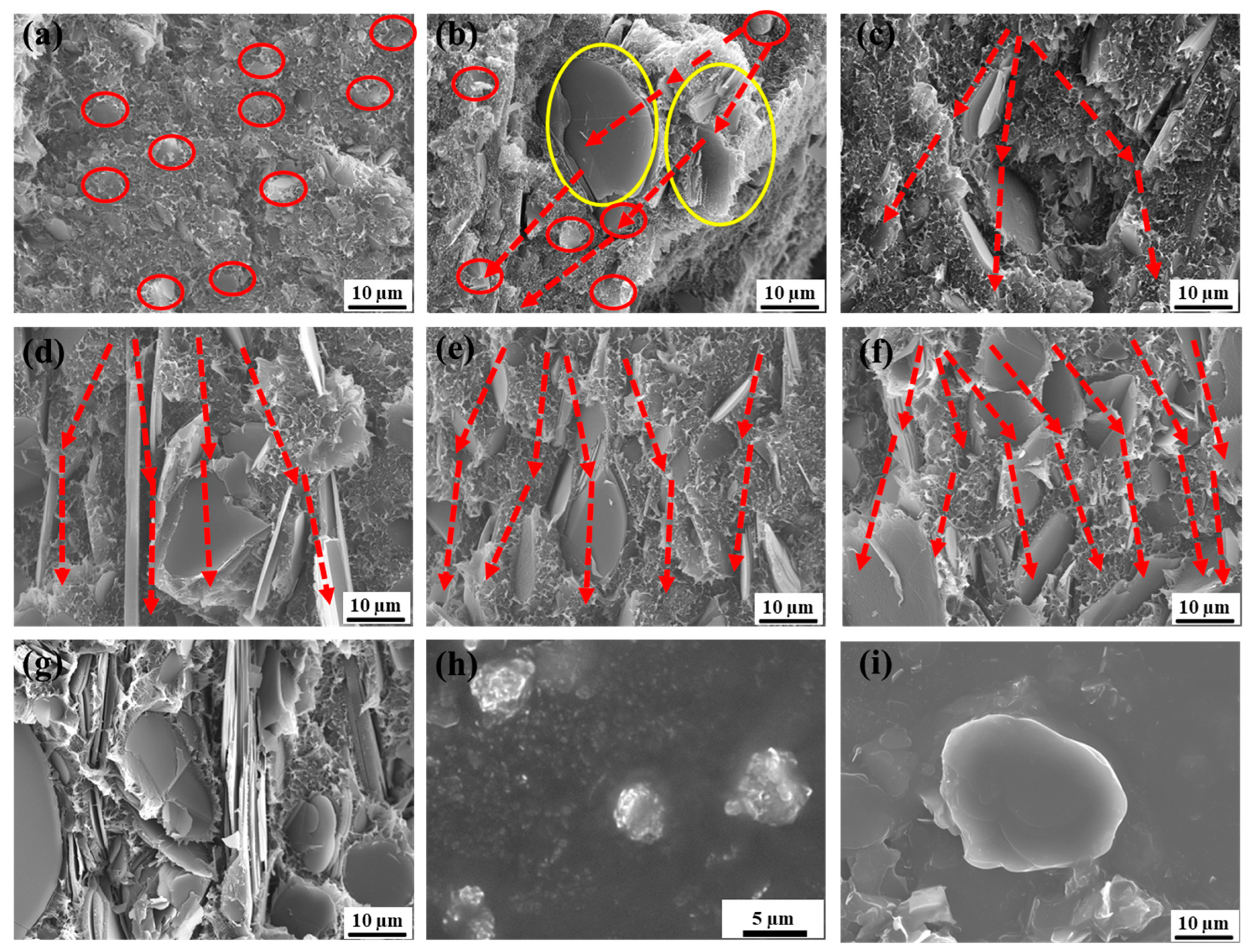 Polymers 16 00268 g001