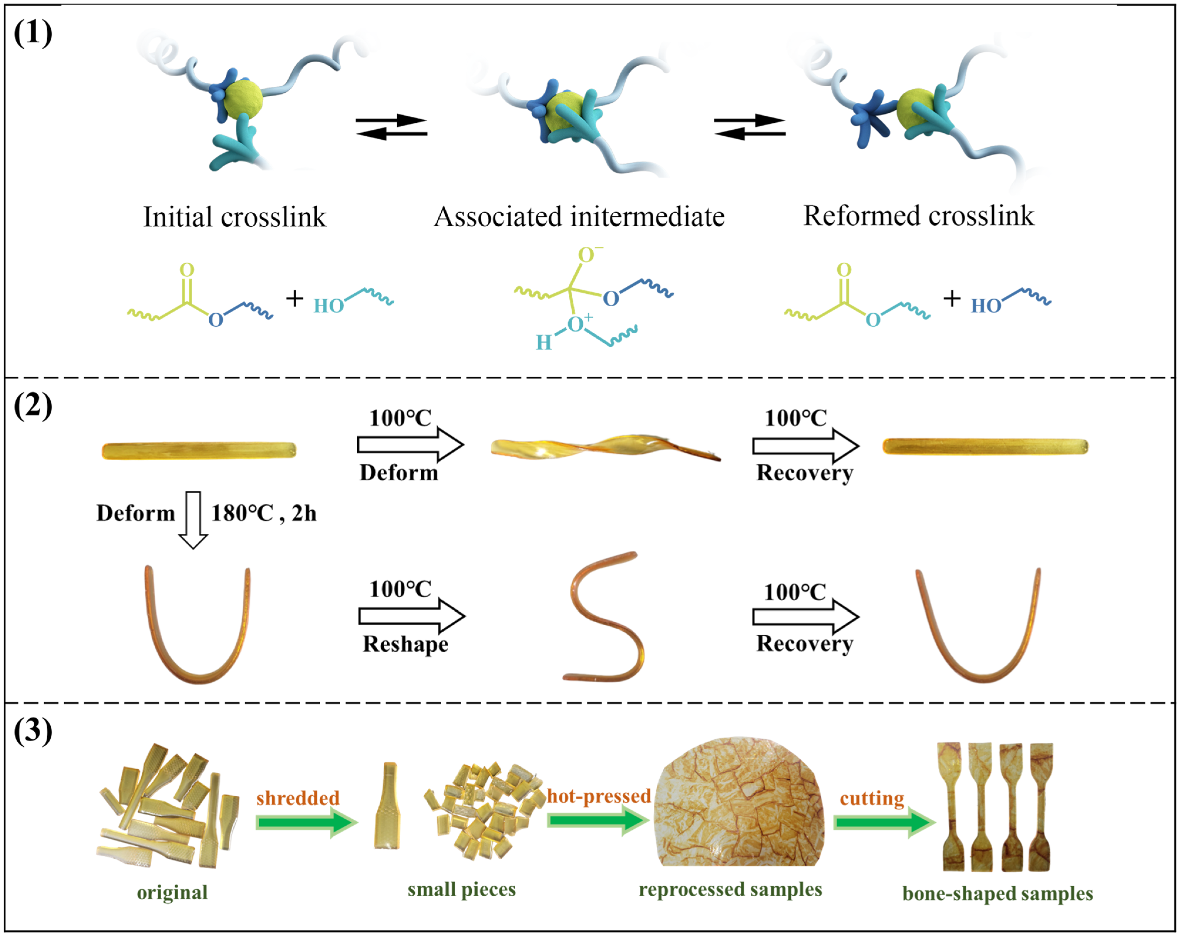 Polymers 16 00307 g007