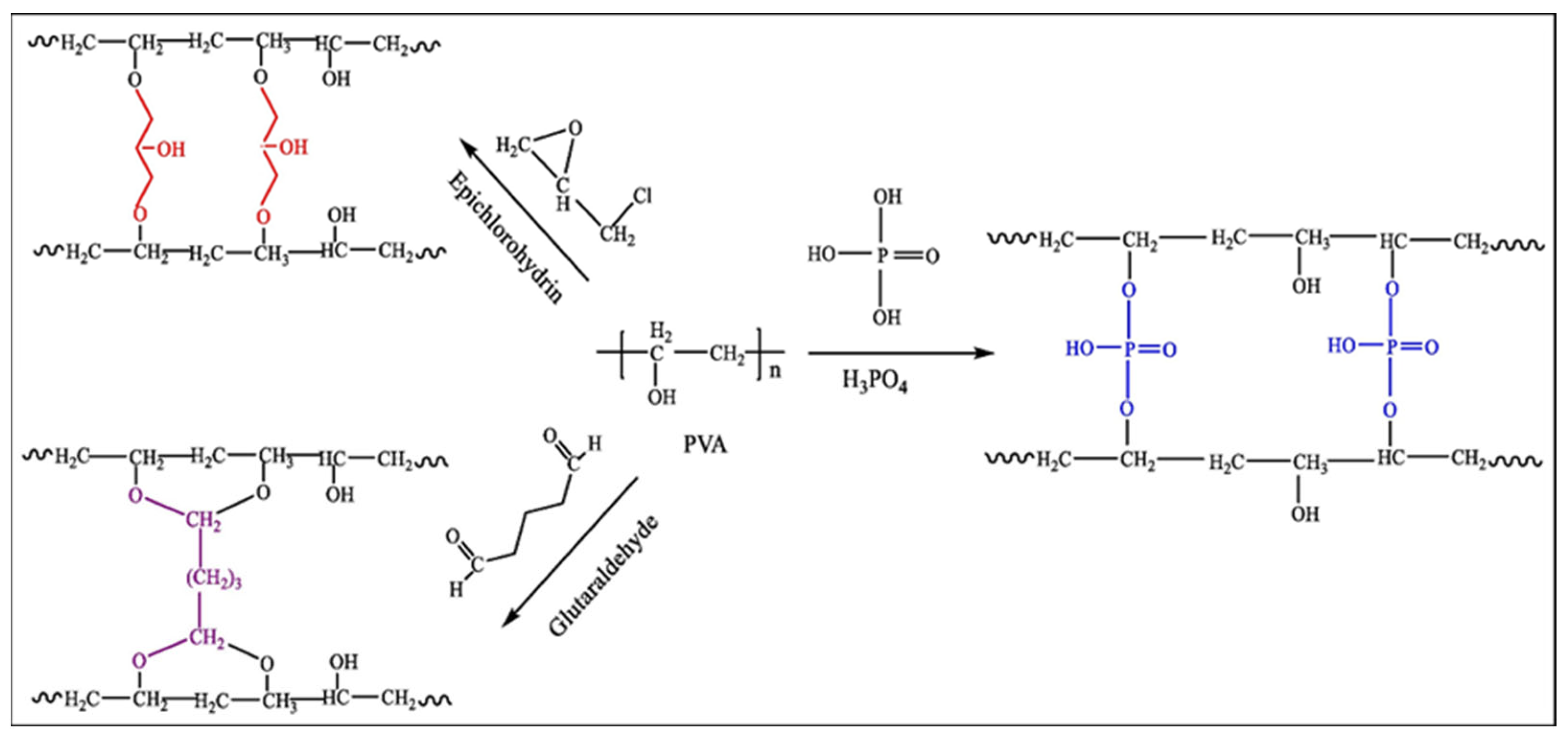 Polymers 16 00501 g004