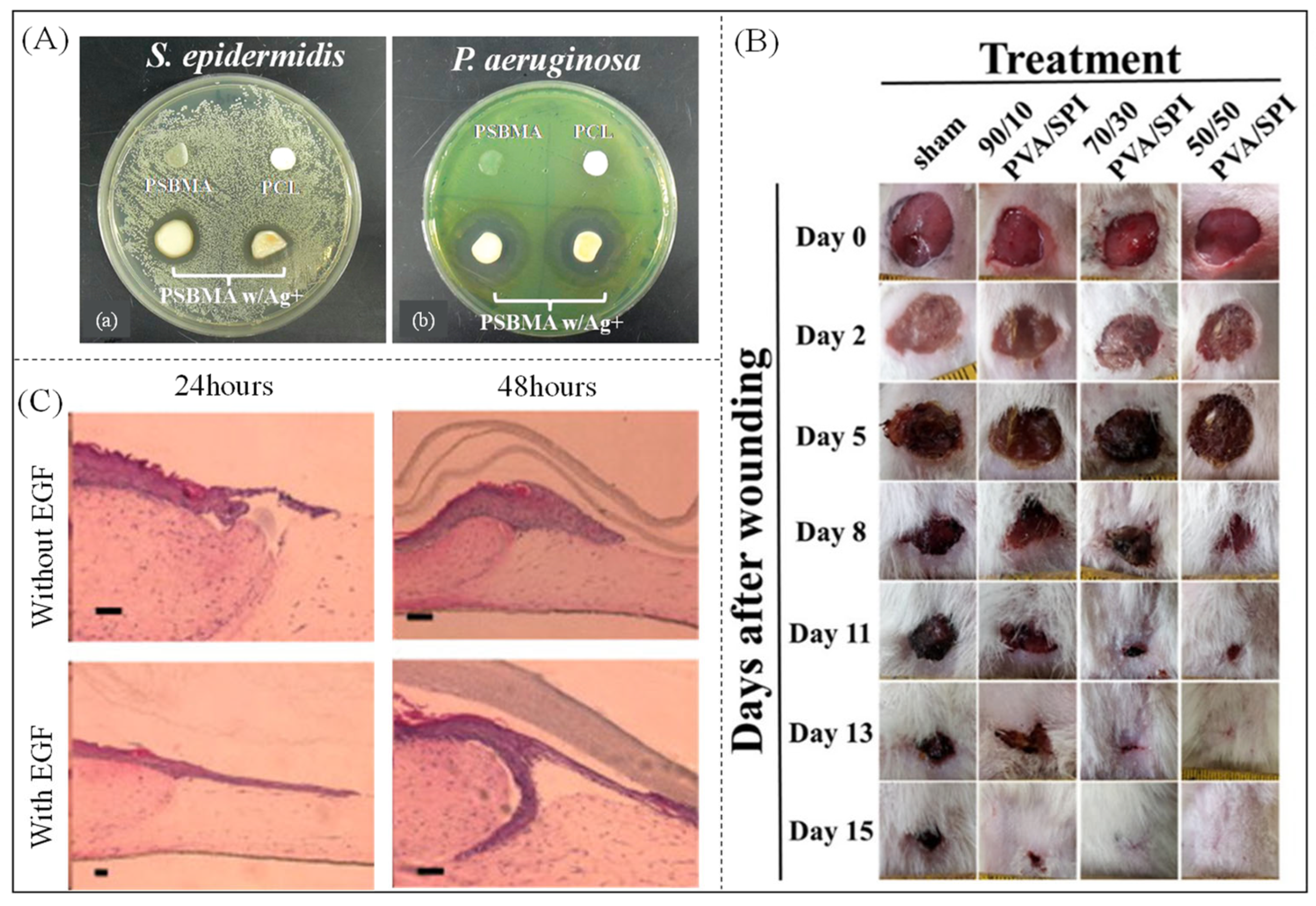 Polymers 16 00501 g013