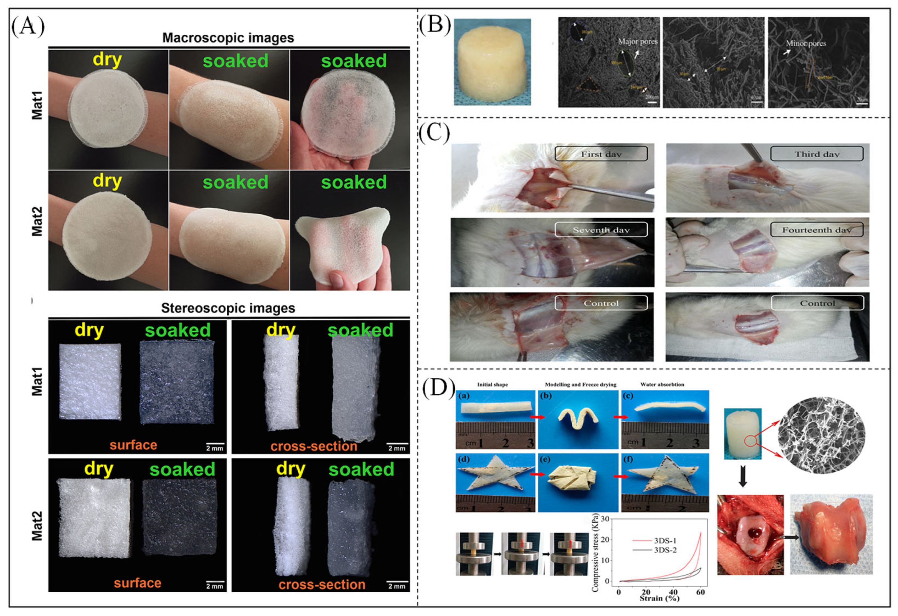 Polymers 16 00501 g014