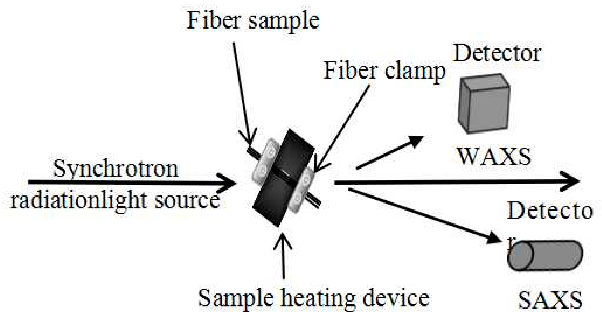 Polymers 16 00547 g002