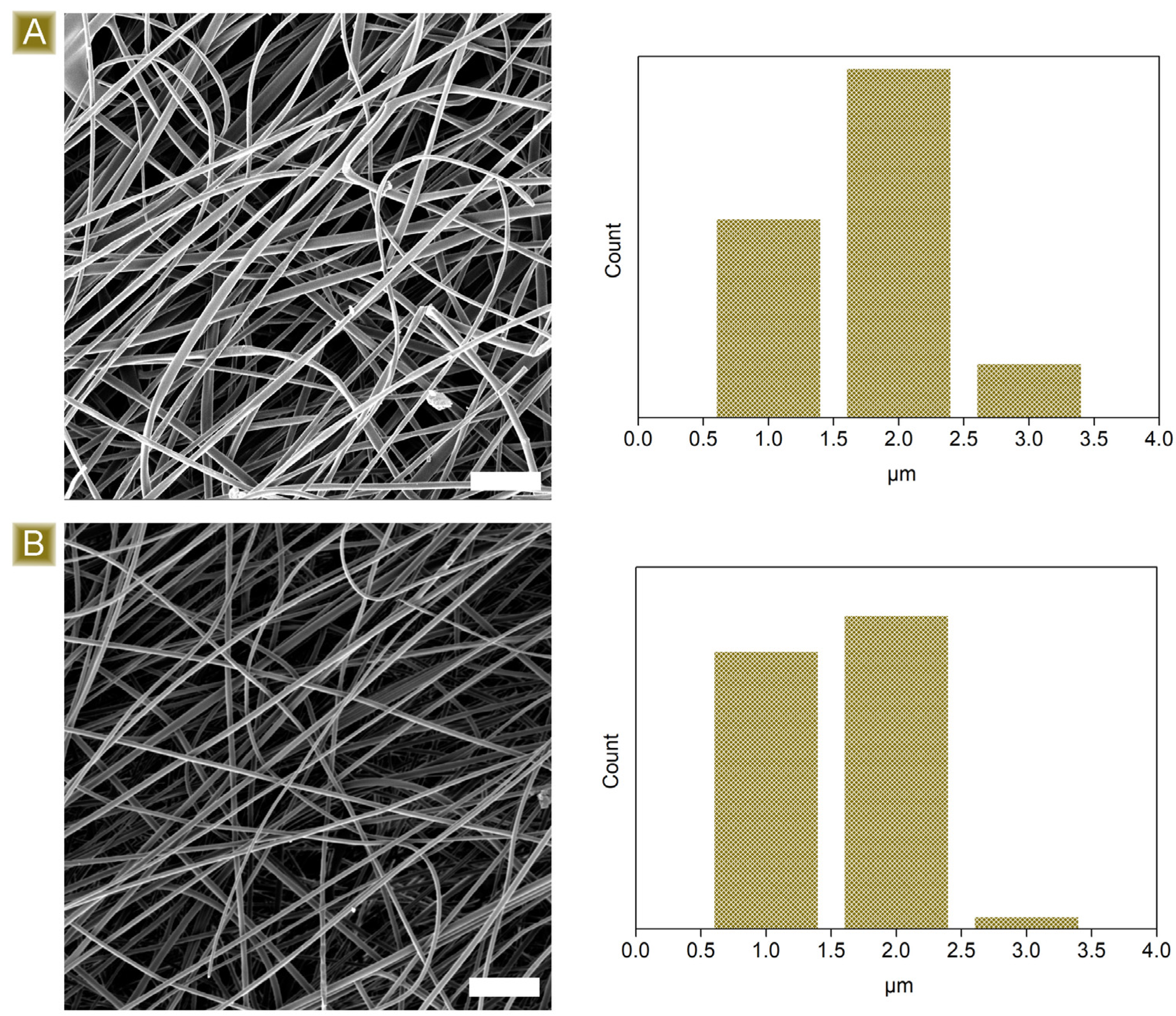 Polymers 16 00752 g002