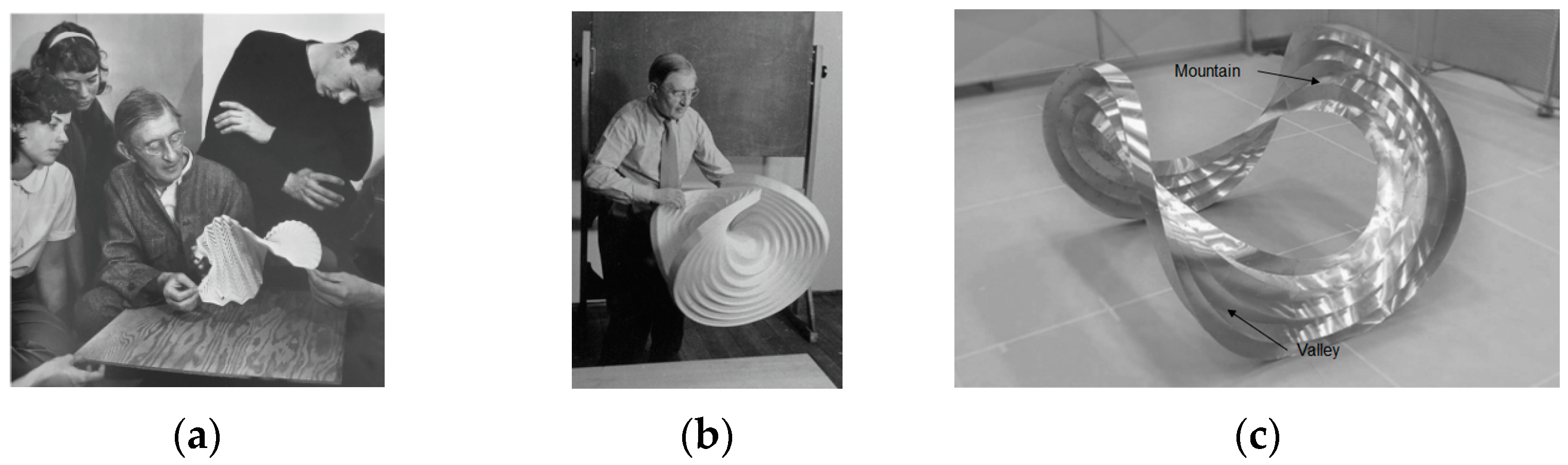 Polymers 16 00766 g003
