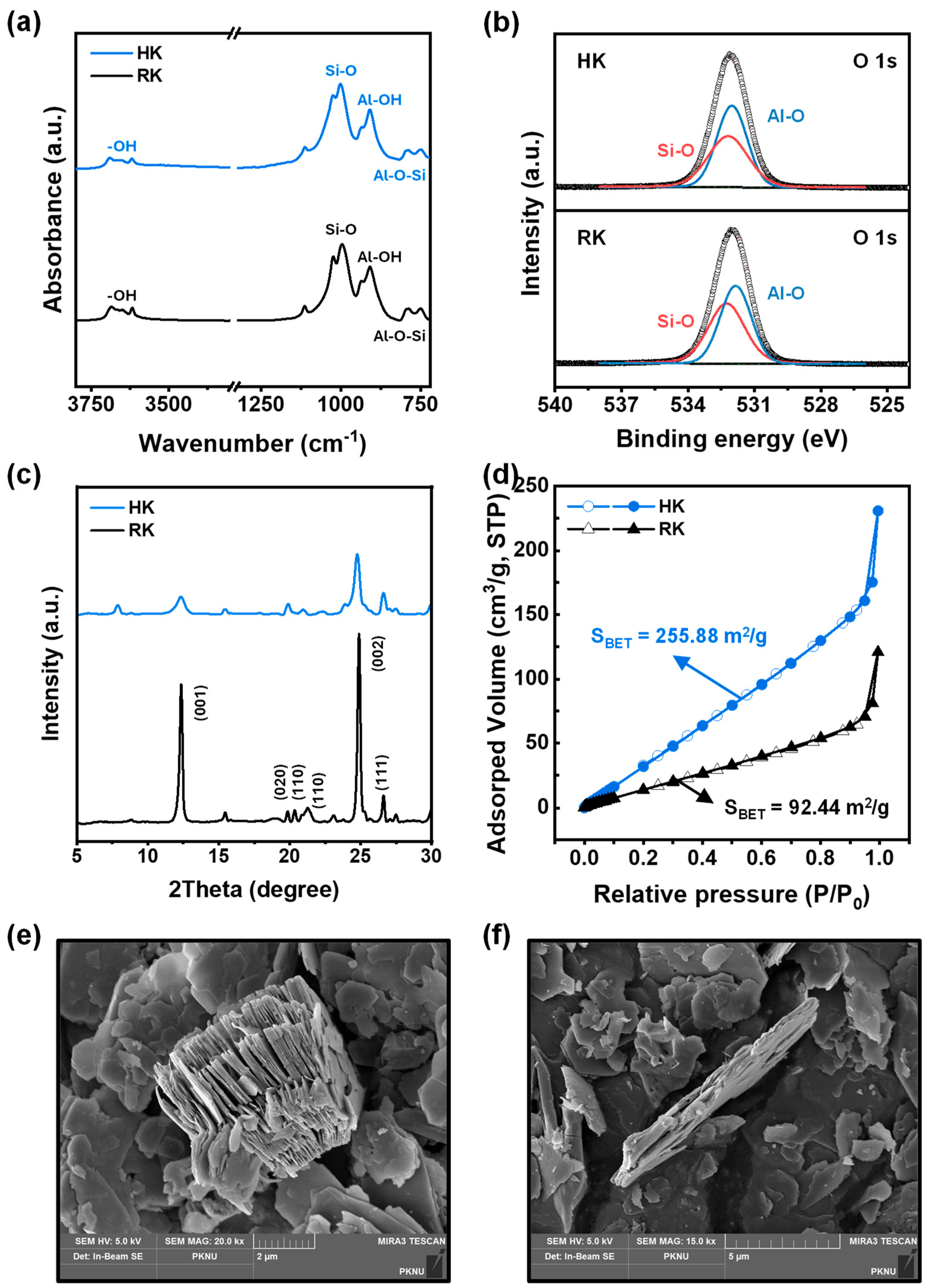 Polymers 16 00835 g001