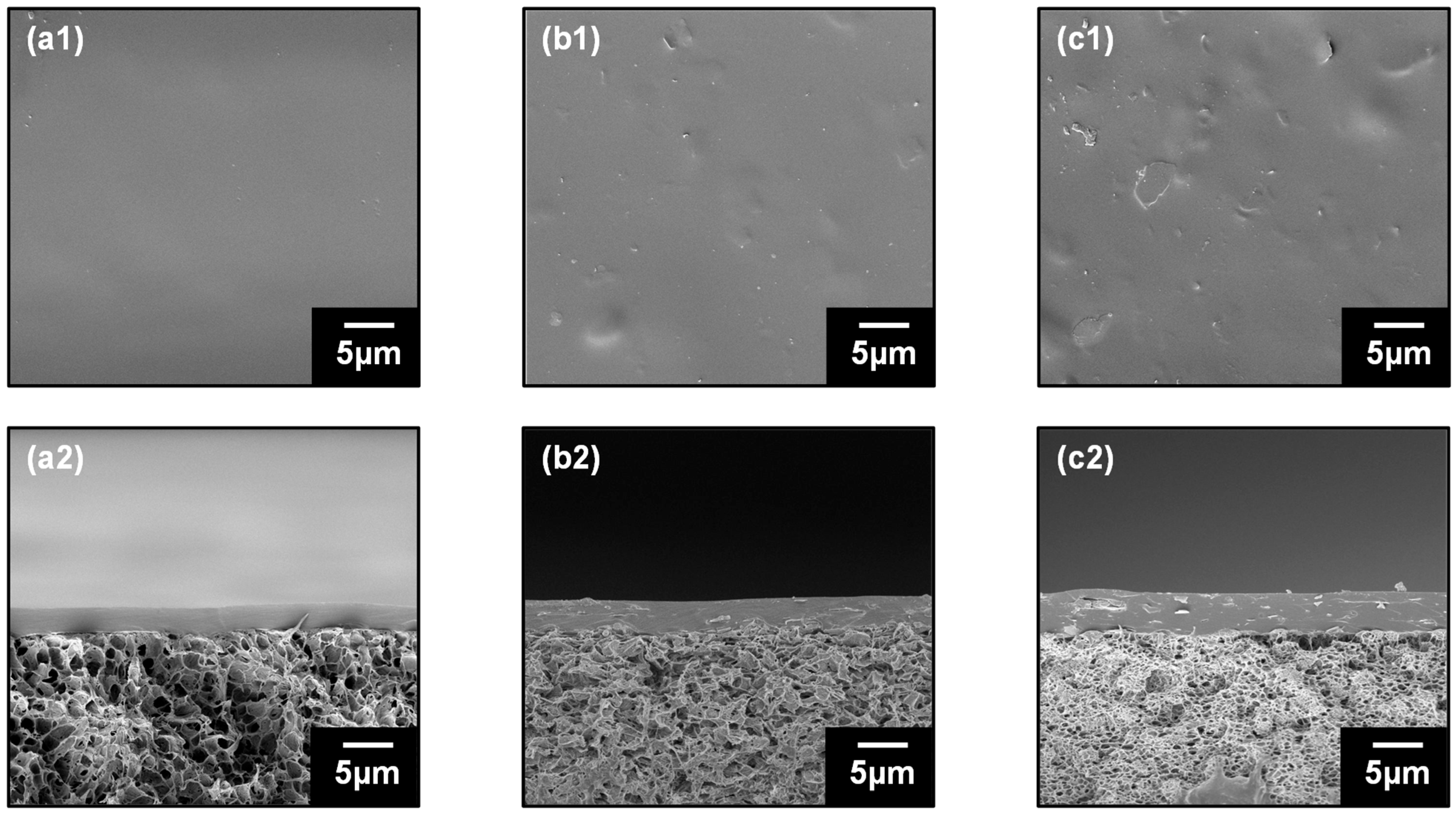 Polymers 16 00835 g003