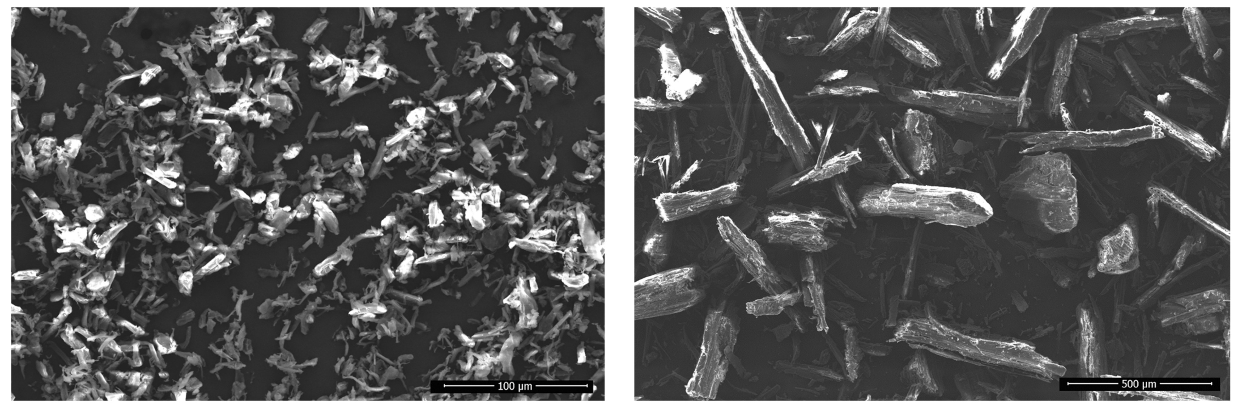 Polymers 16 00836 g010