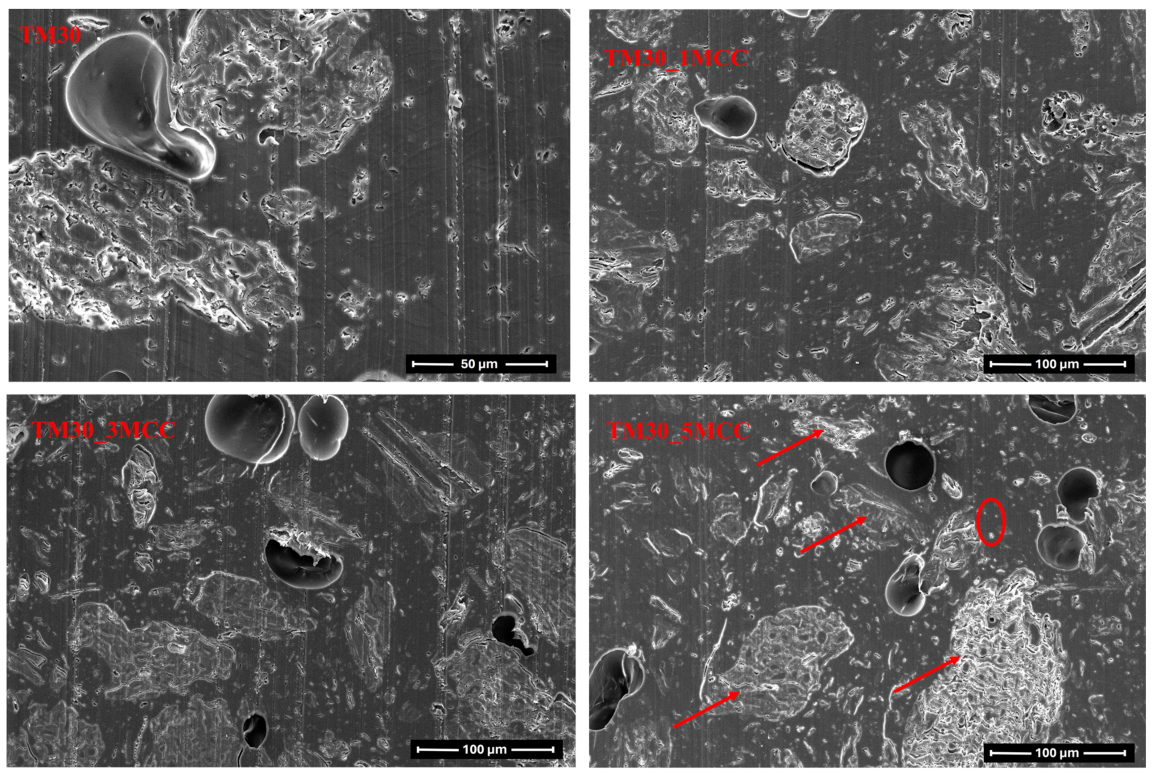 Polymers 16 00836 g012