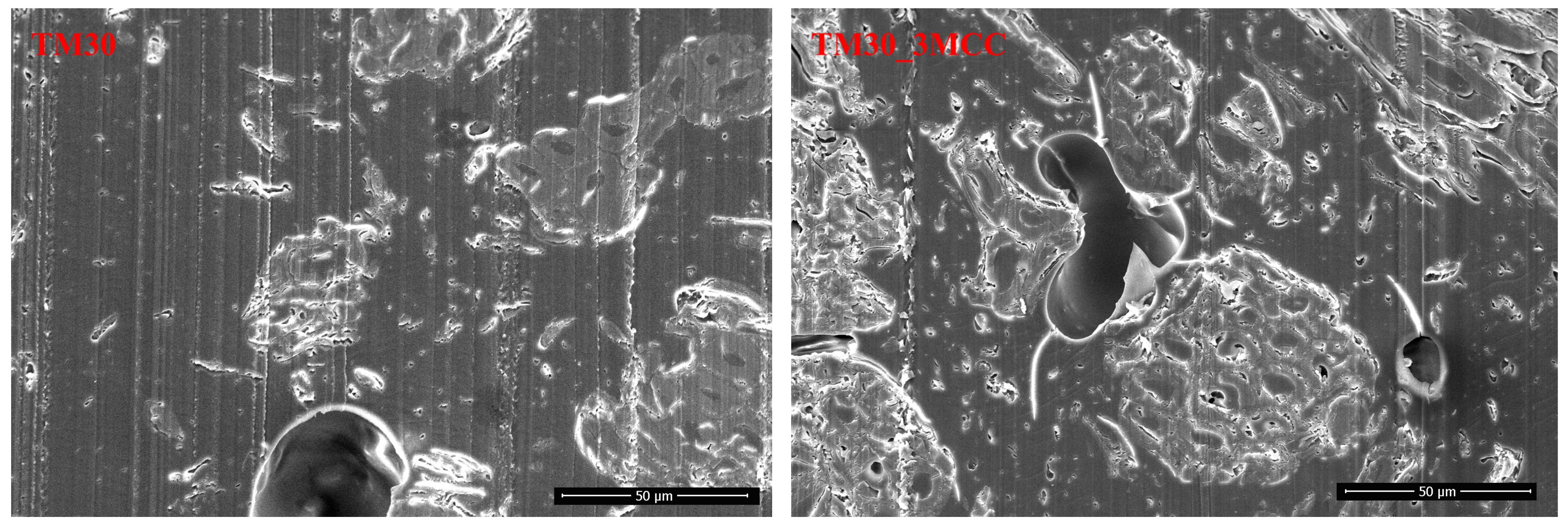 Polymers 16 00836 g013