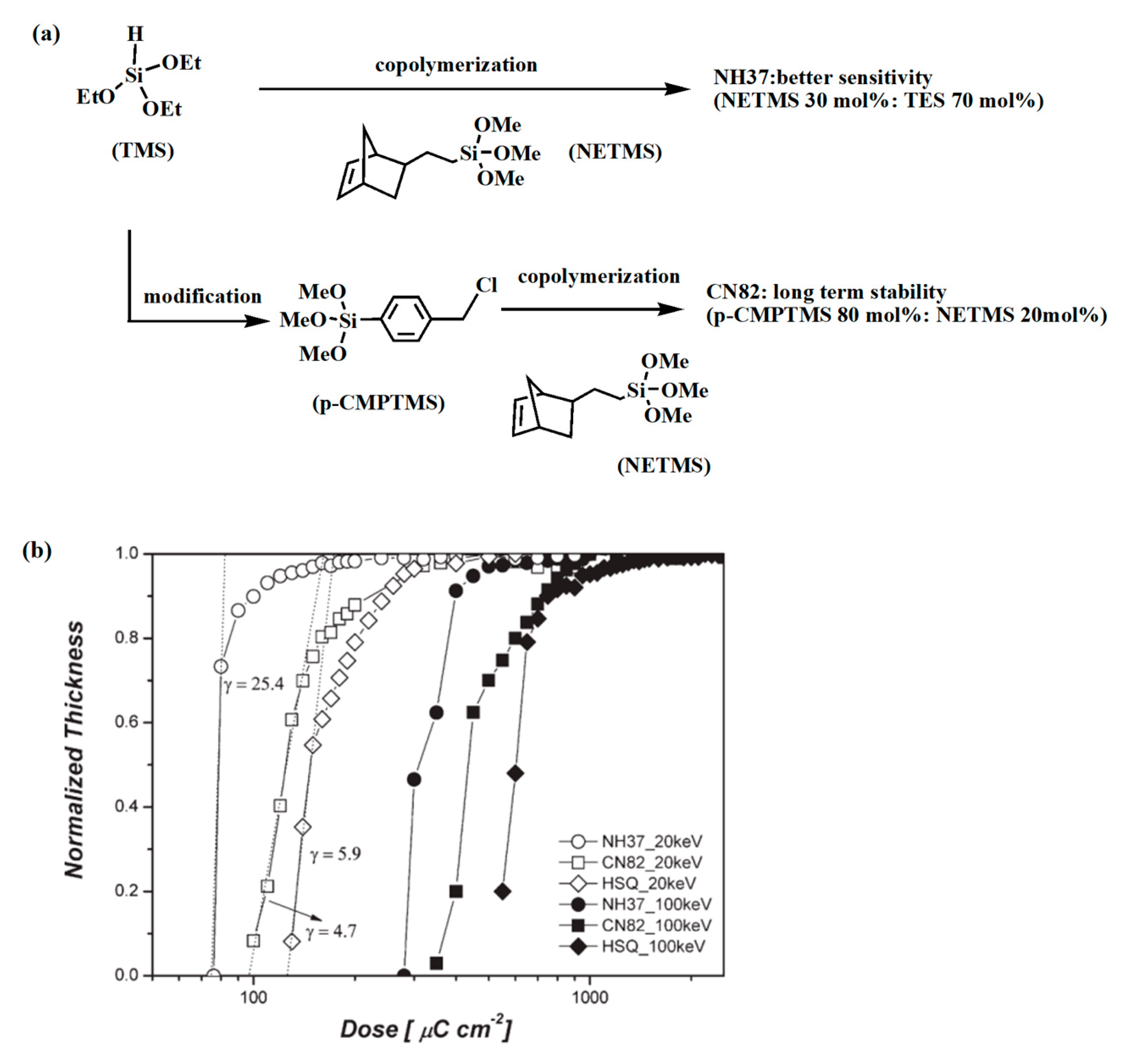 Polymers 16 00846 g004