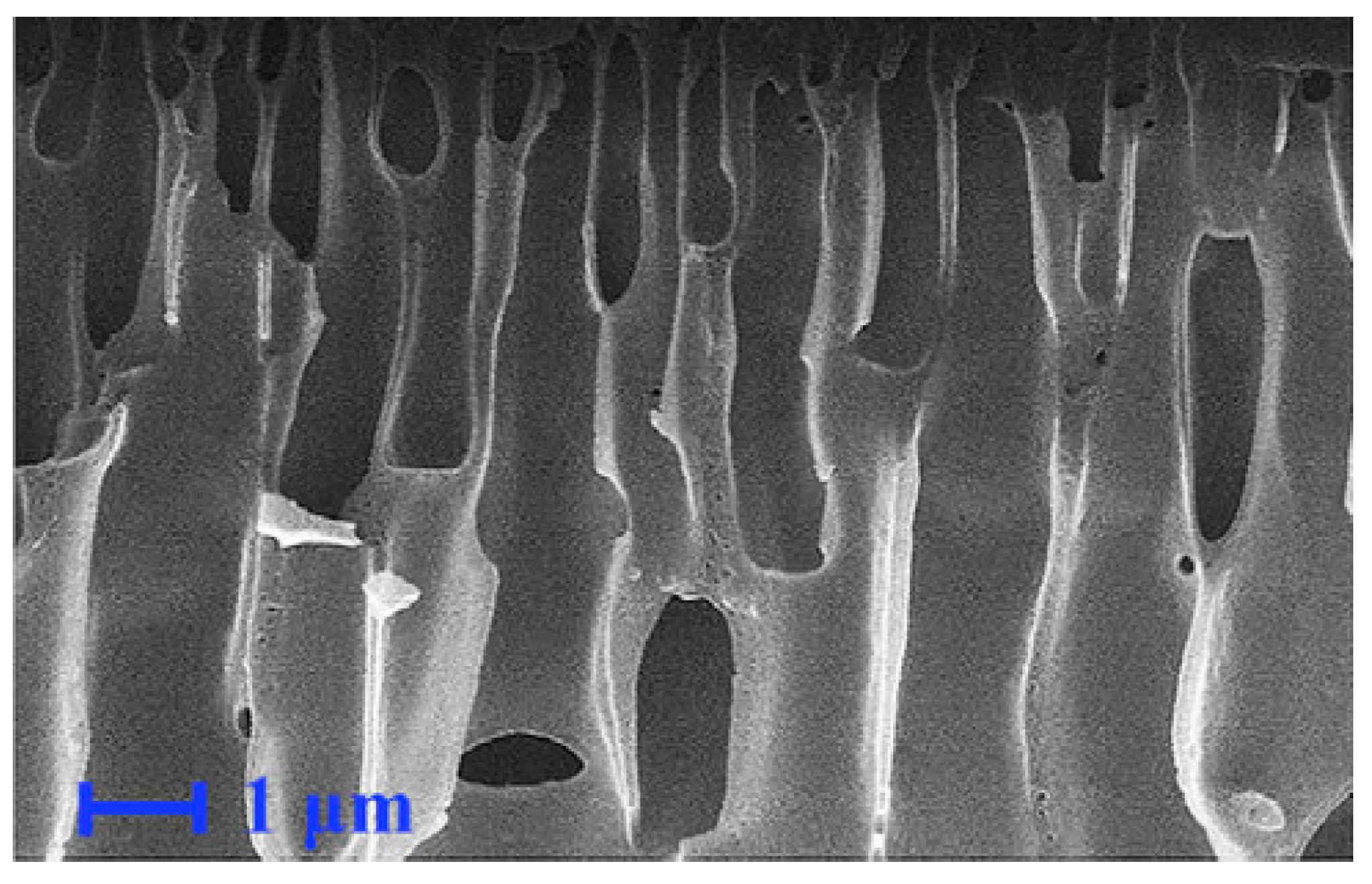 Polymers 16 00846 g008