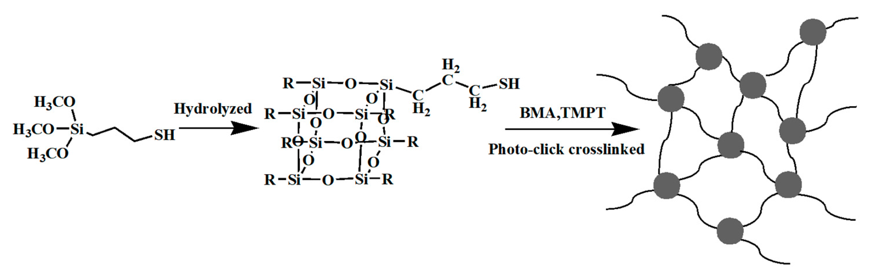 Polymers 16 00846 g011a