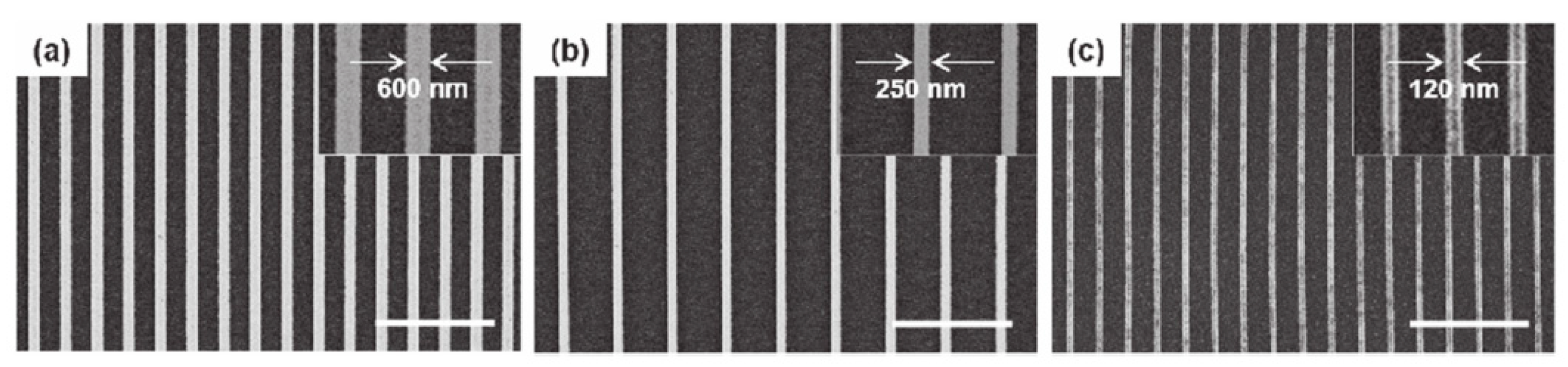 Polymers 16 00846 g014
