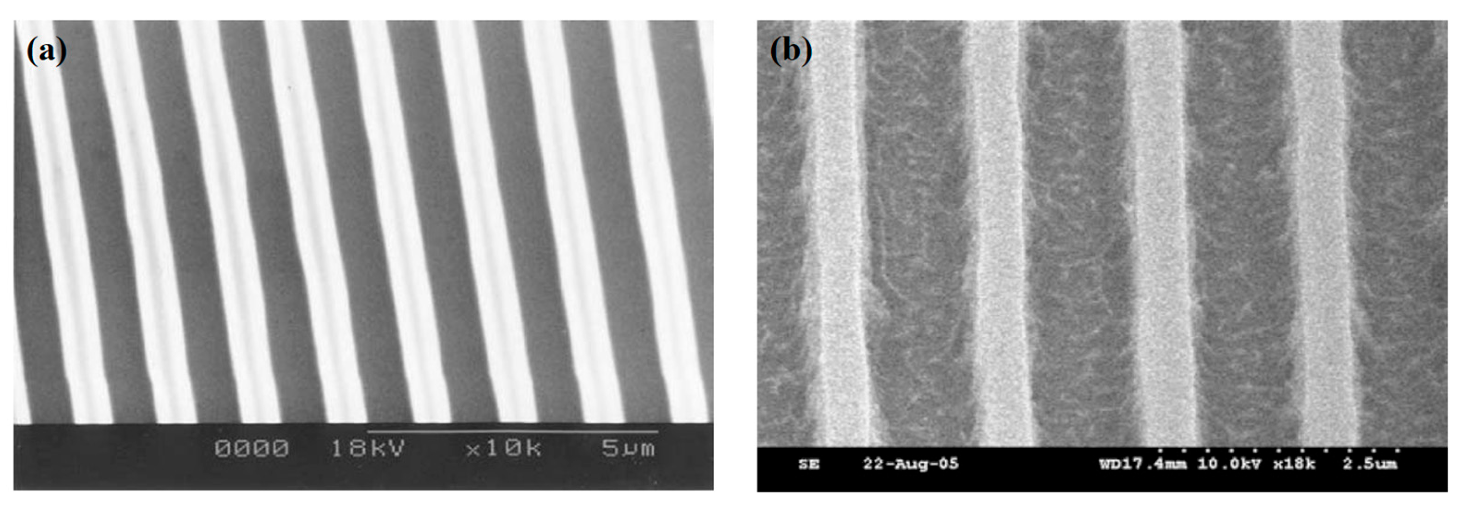 Polymers 16 00846 g018