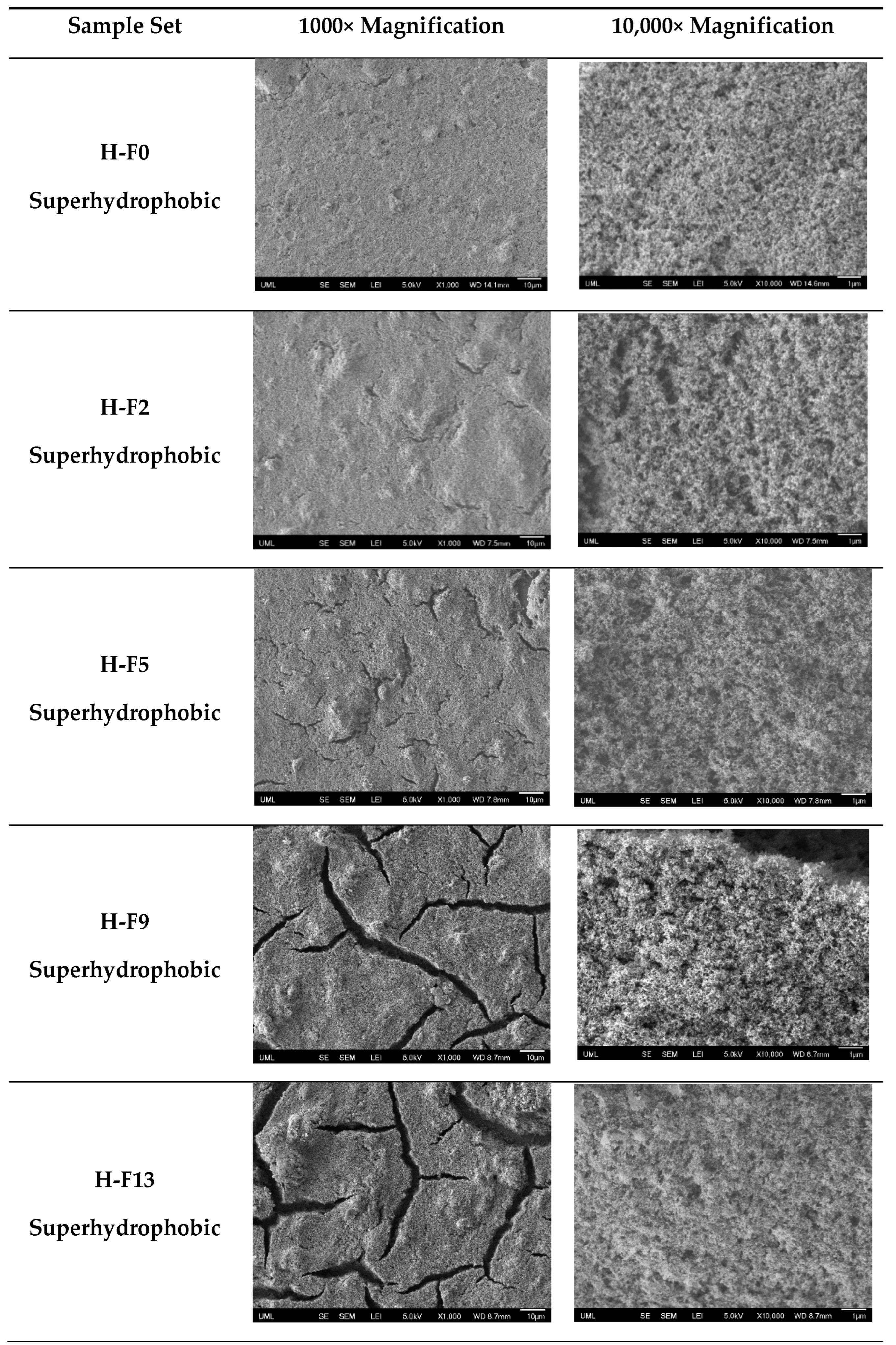 Polymers 16 00885 g005