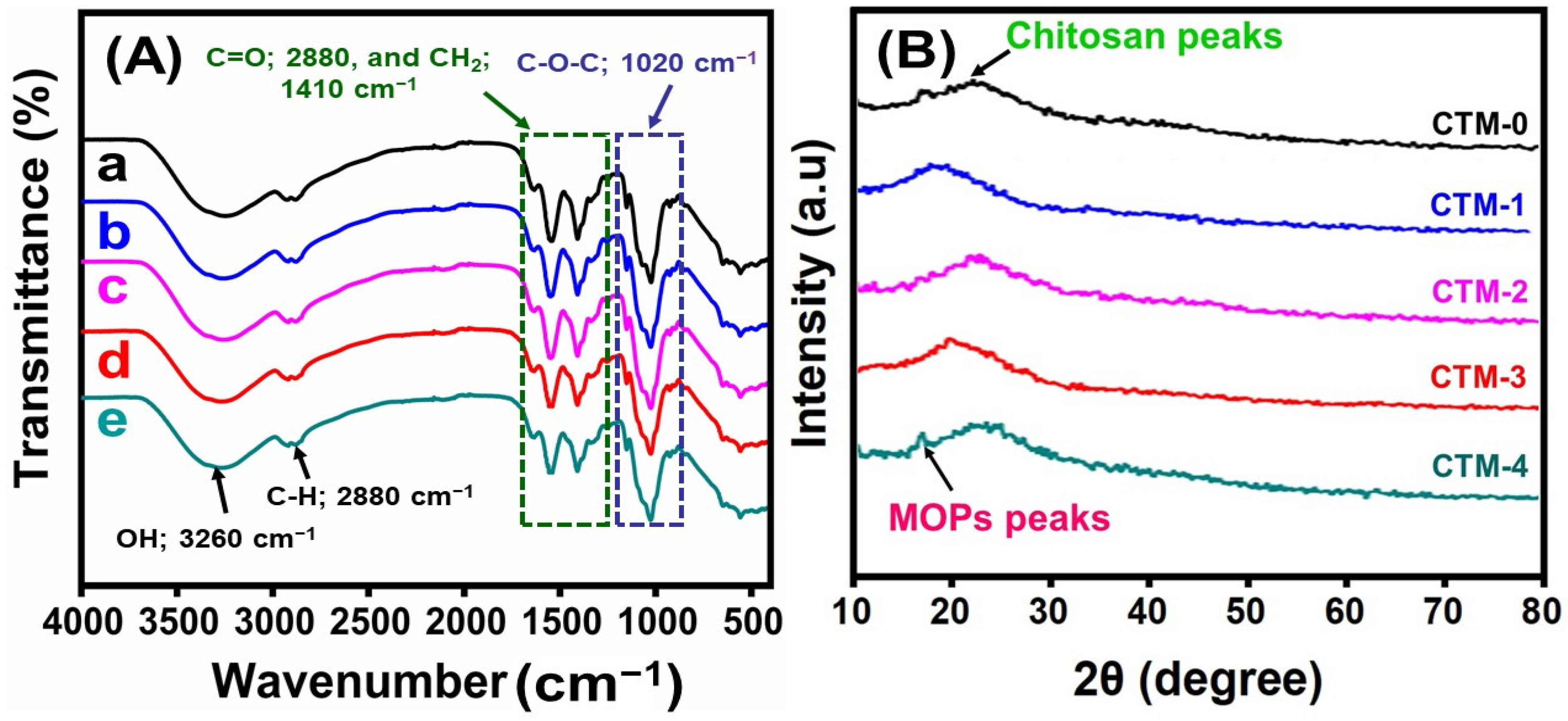 Polymers 16 00937 g004