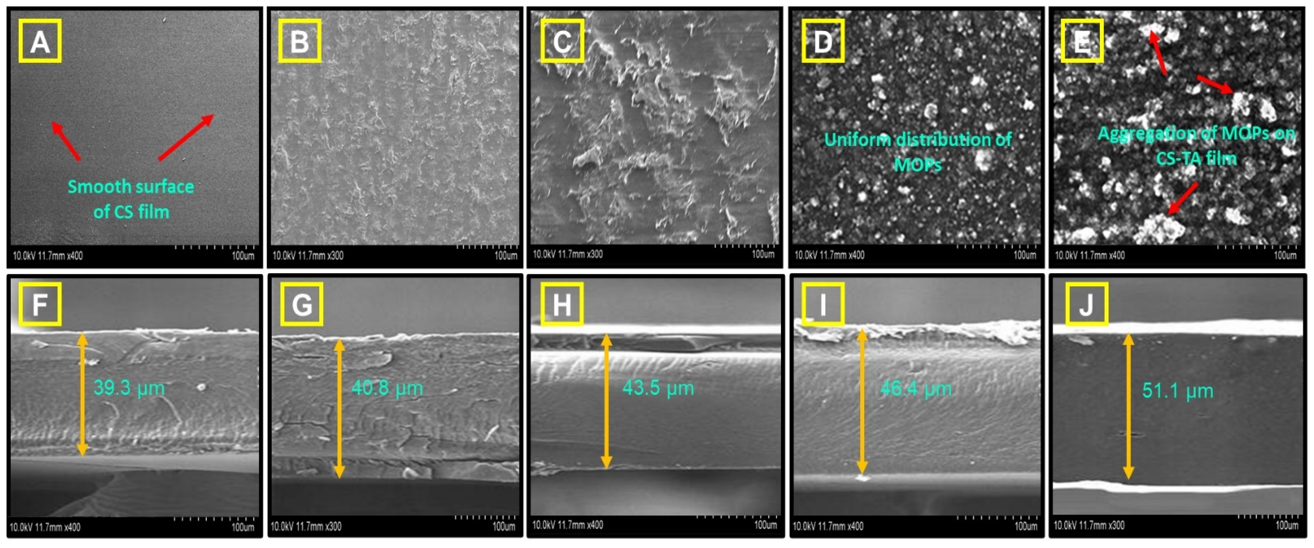 Polymers 16 00937 g005