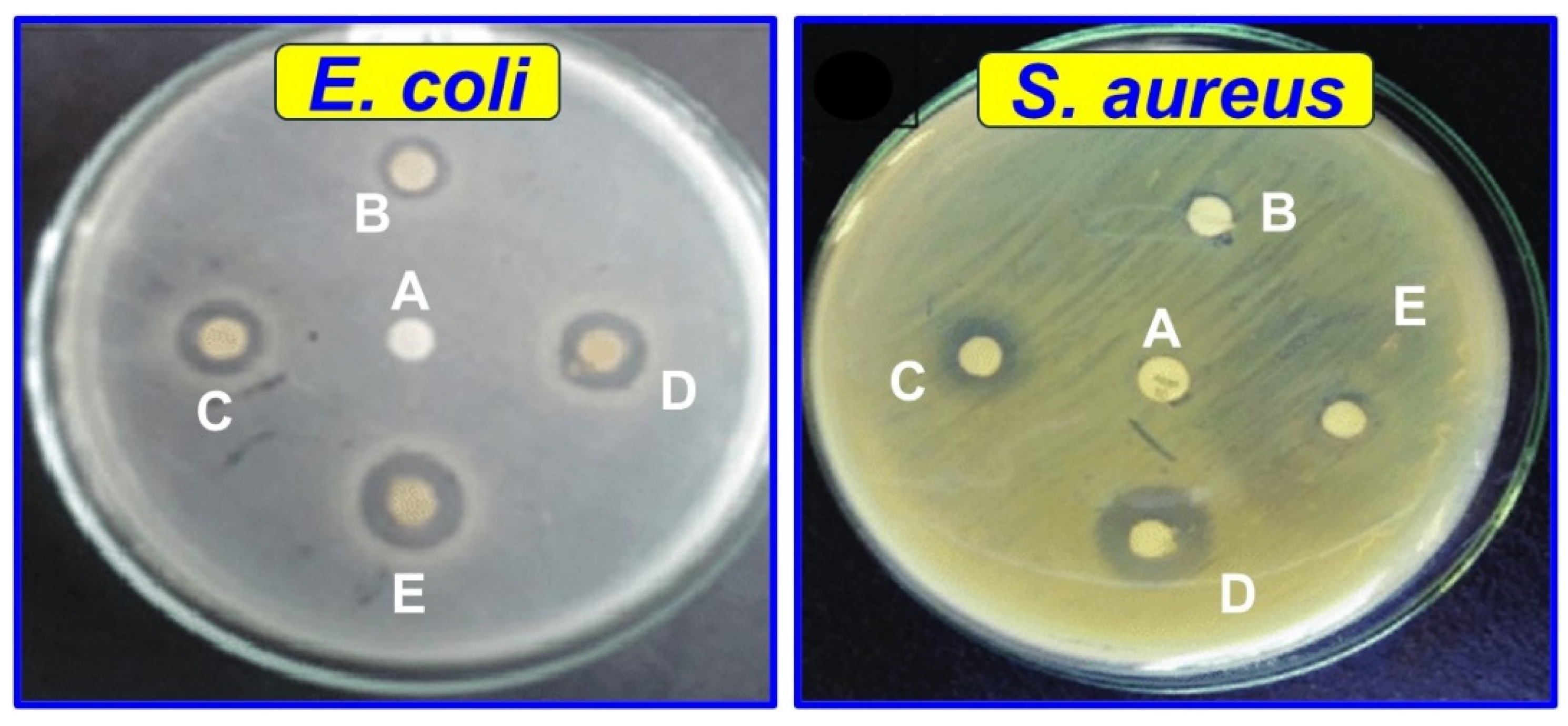 Polymers 16 00937 g010