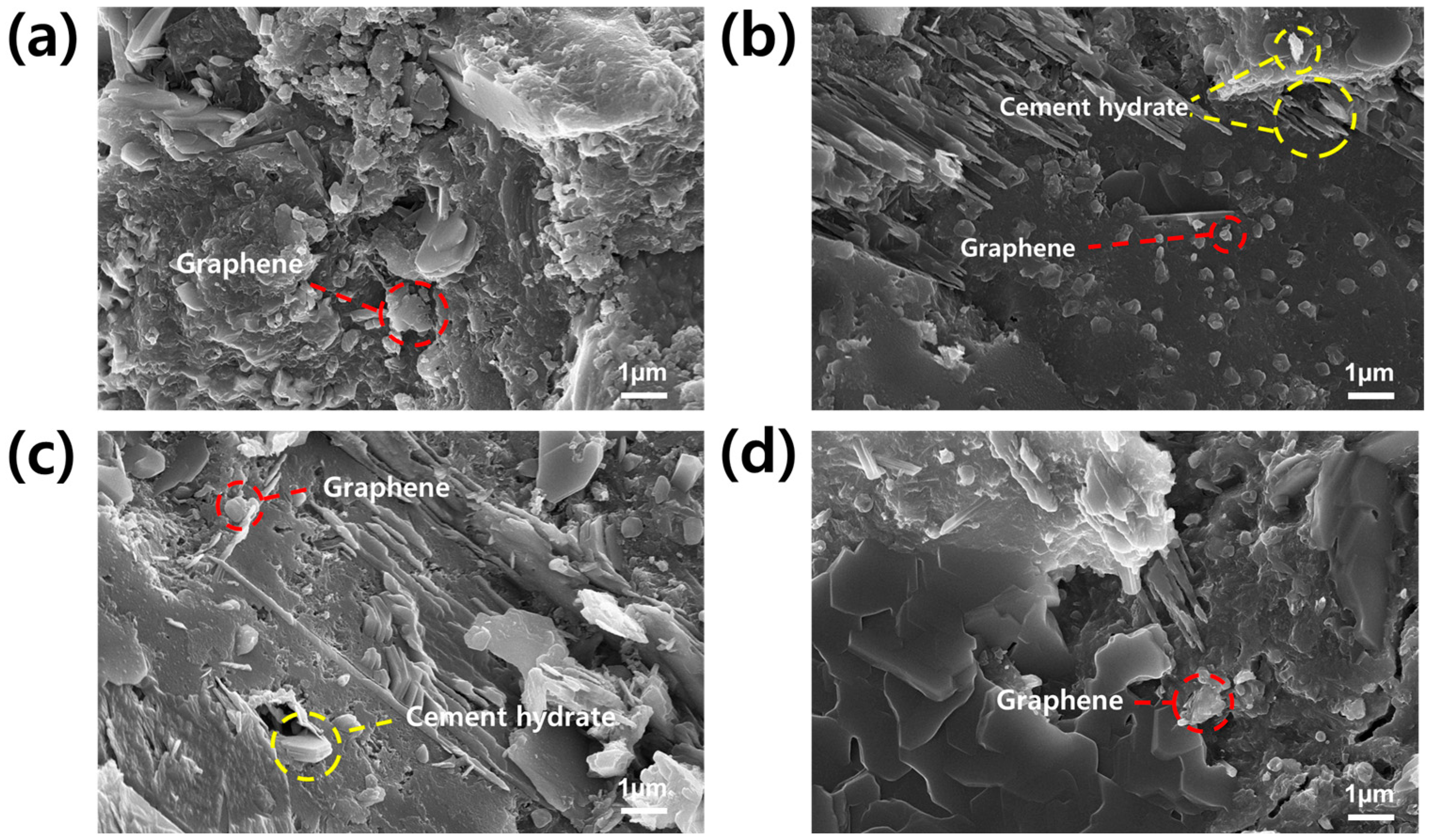 Polymers 16 00956 g009