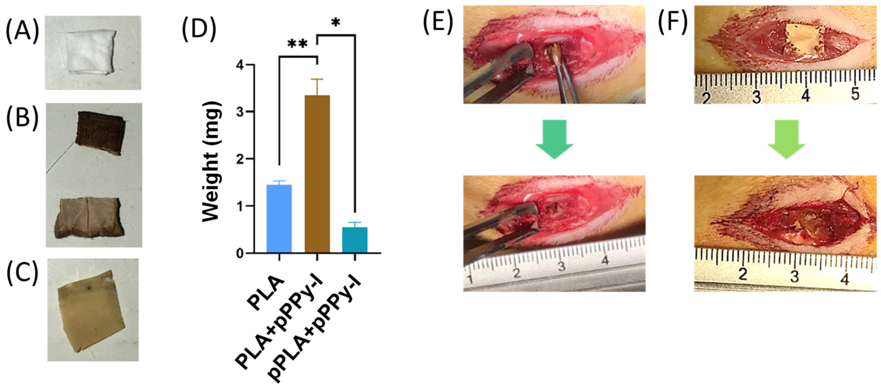 Polymers 16 01133 g001
