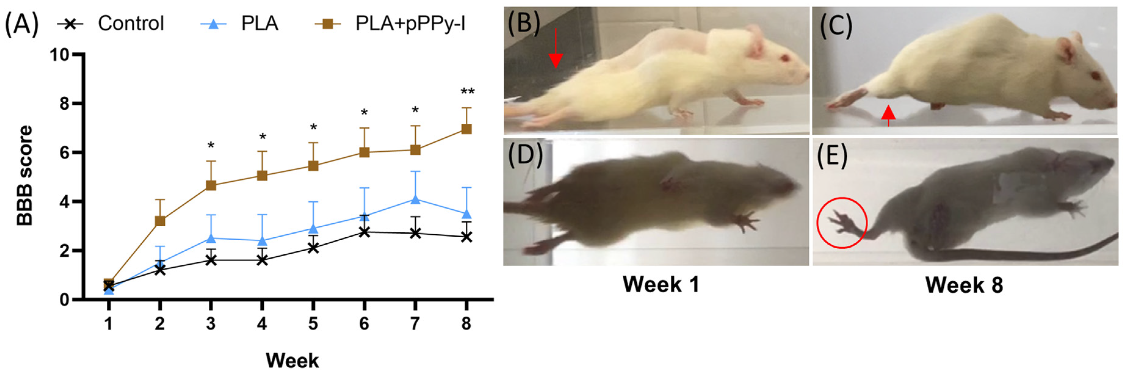 Polymers 16 01133 g002