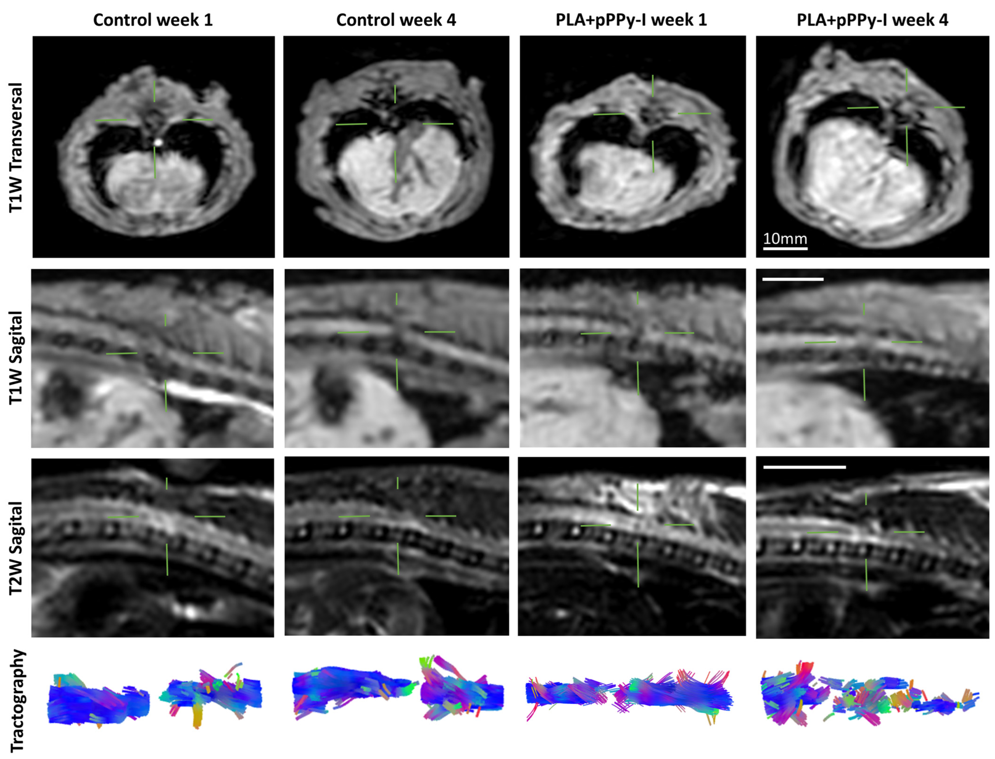 Polymers 16 01133 g003
