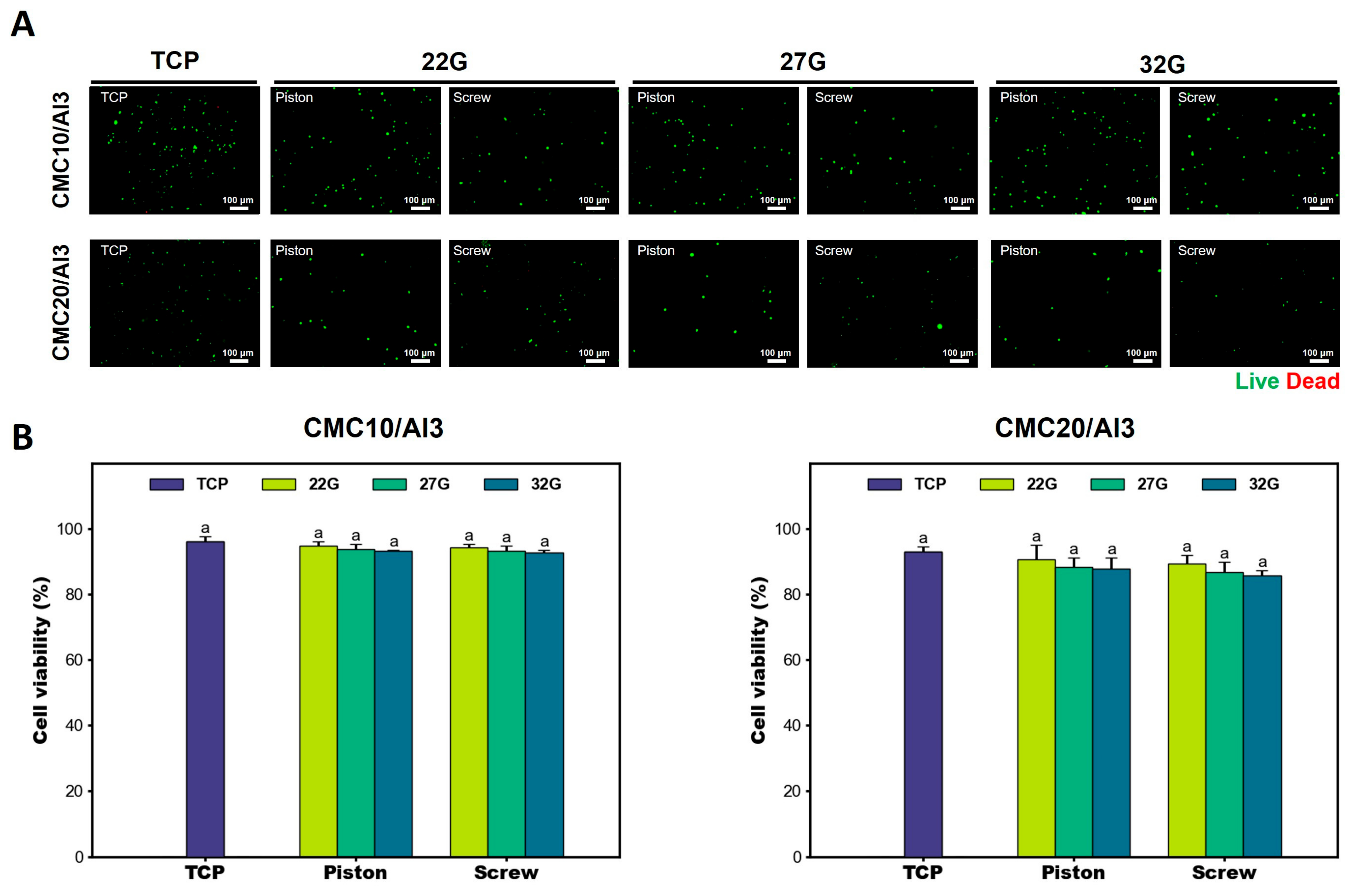 Polymers 16 01137 g005