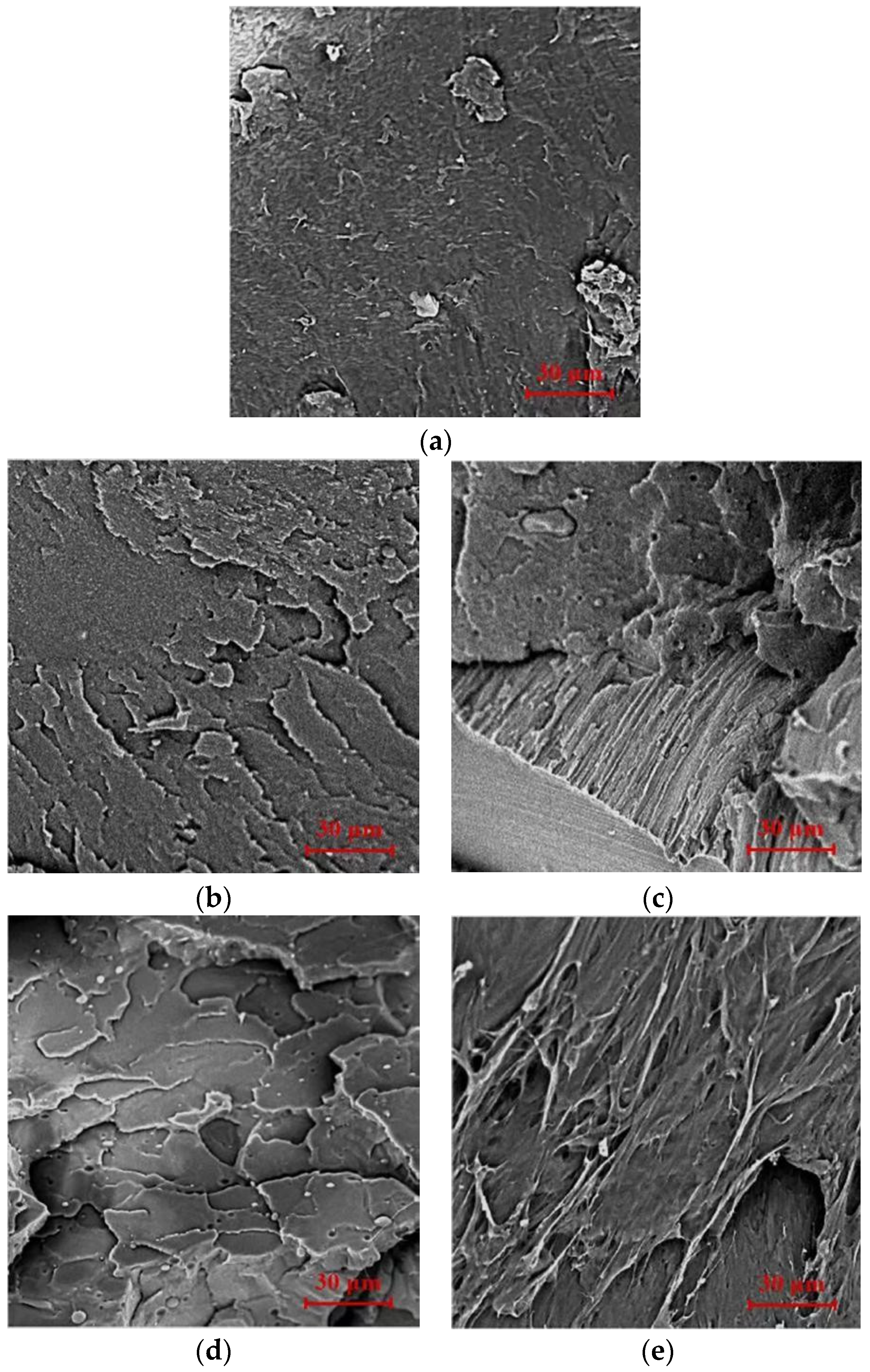 Polymers 16 01140 g003