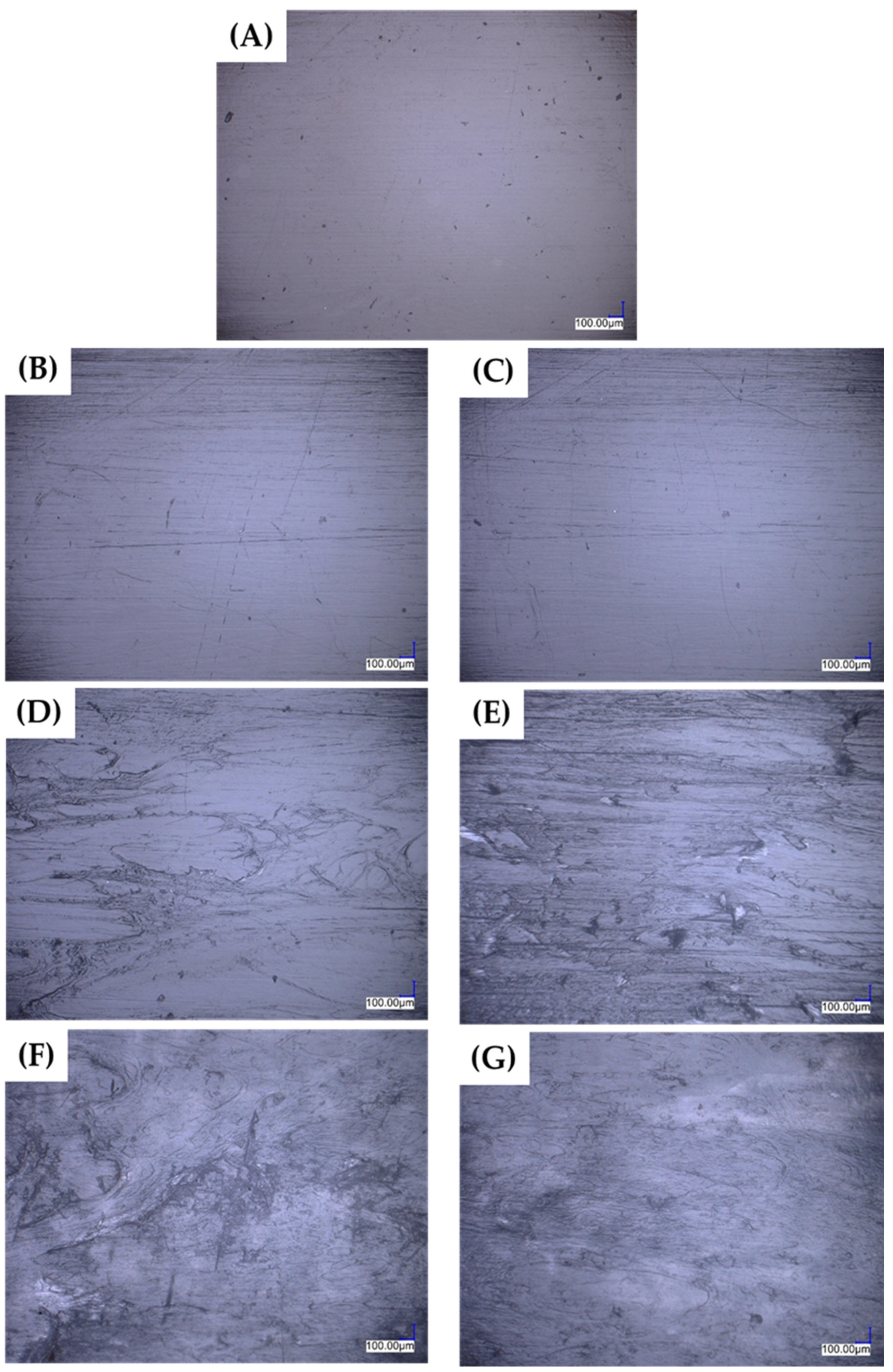 Polymers 16 01142 g003