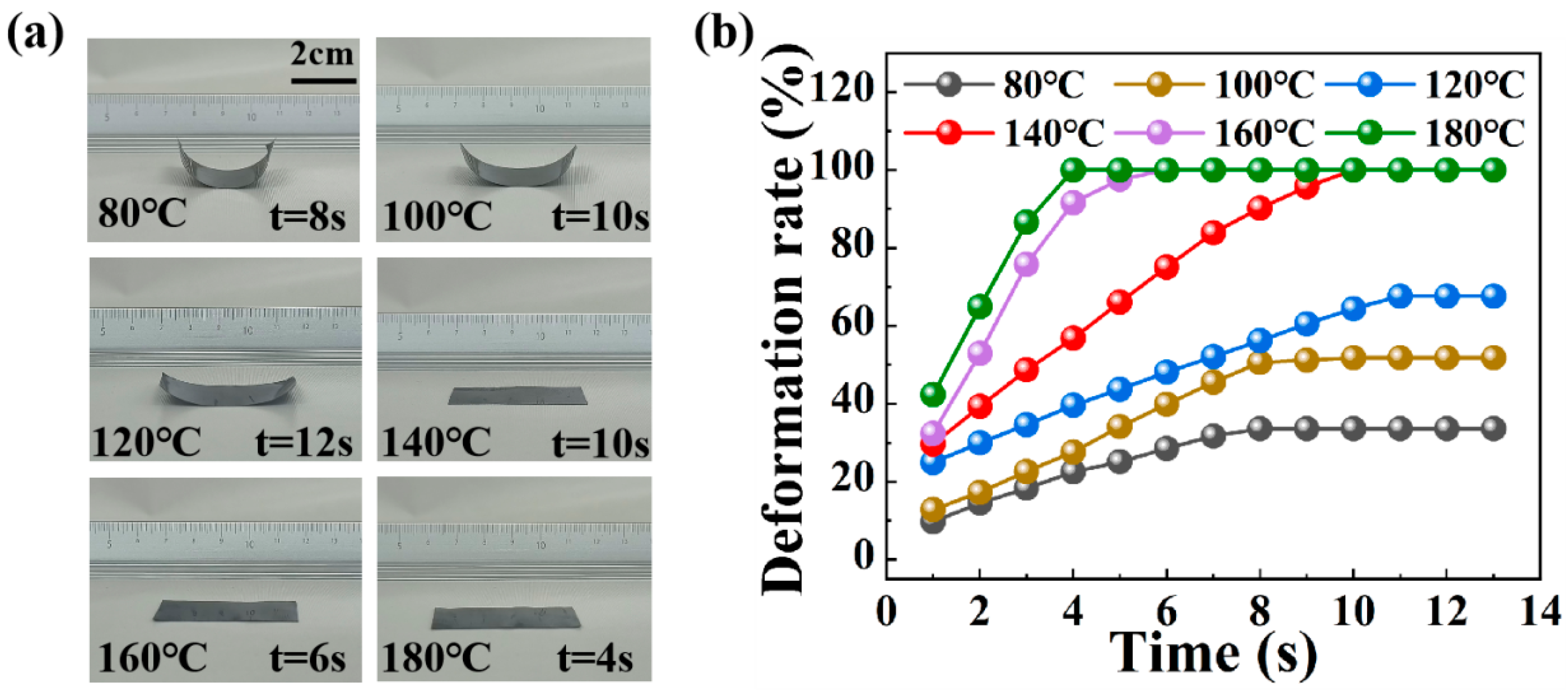 Polymers 16 01144 g005