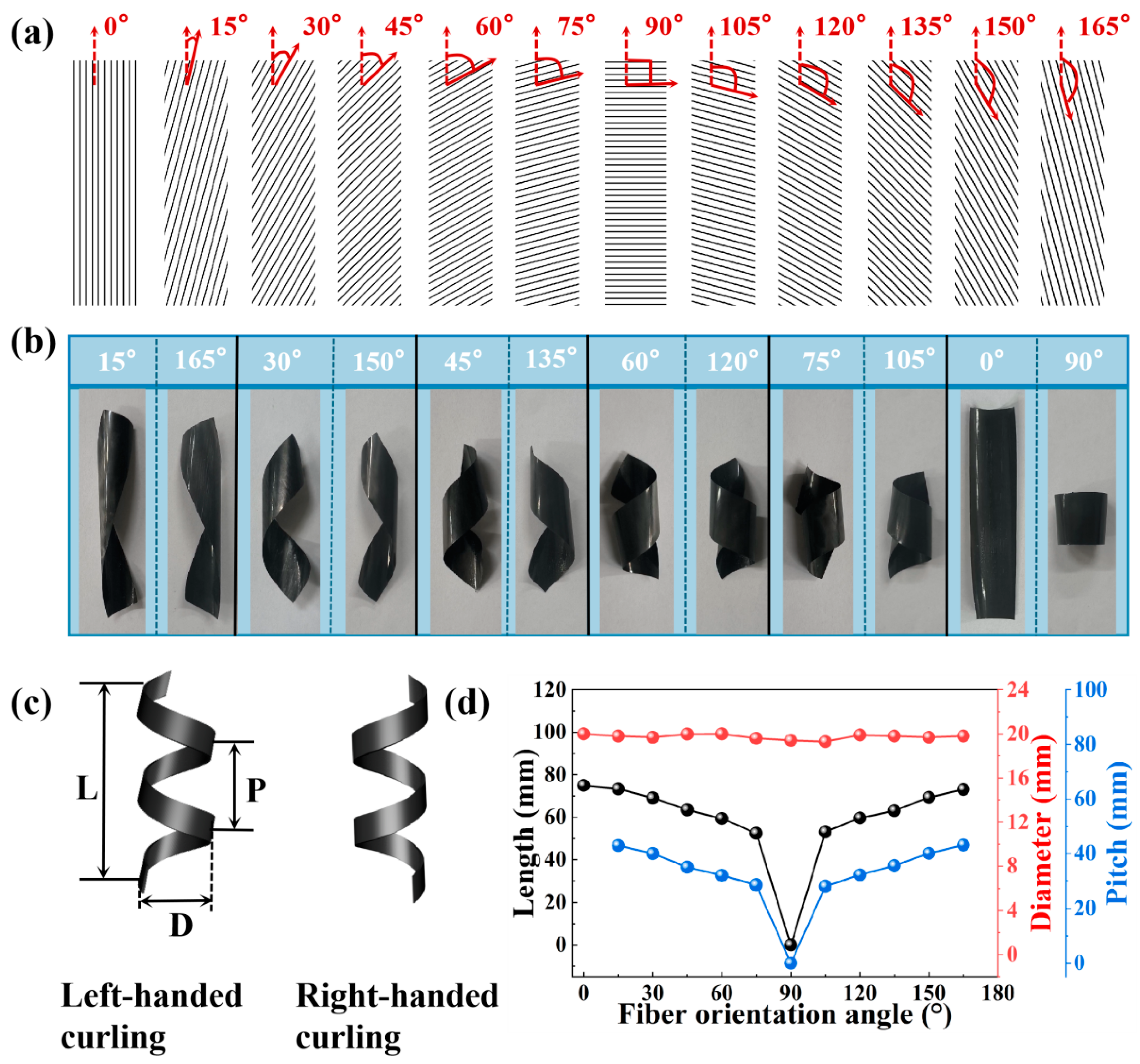 Polymers 16 01144 g006