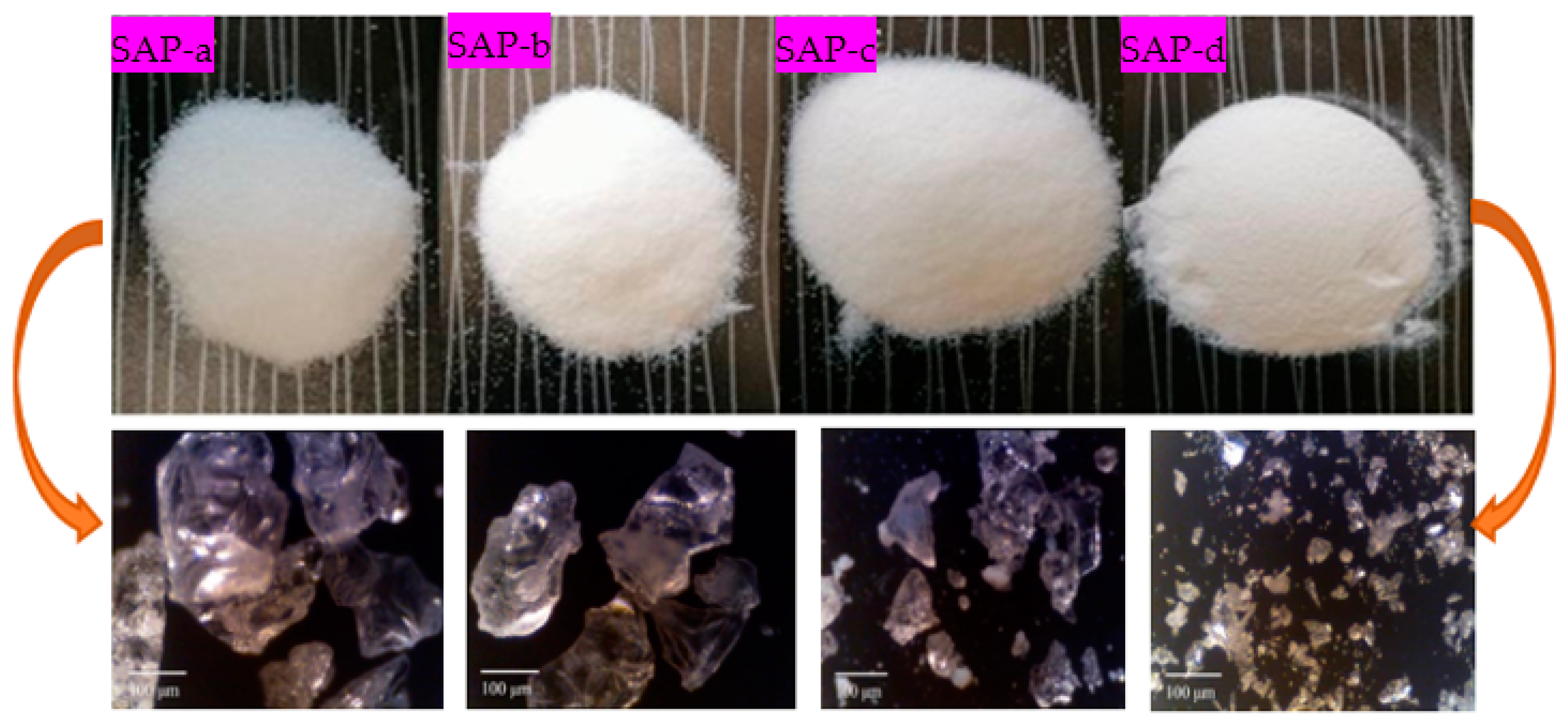 Polymers 16 01158 g002