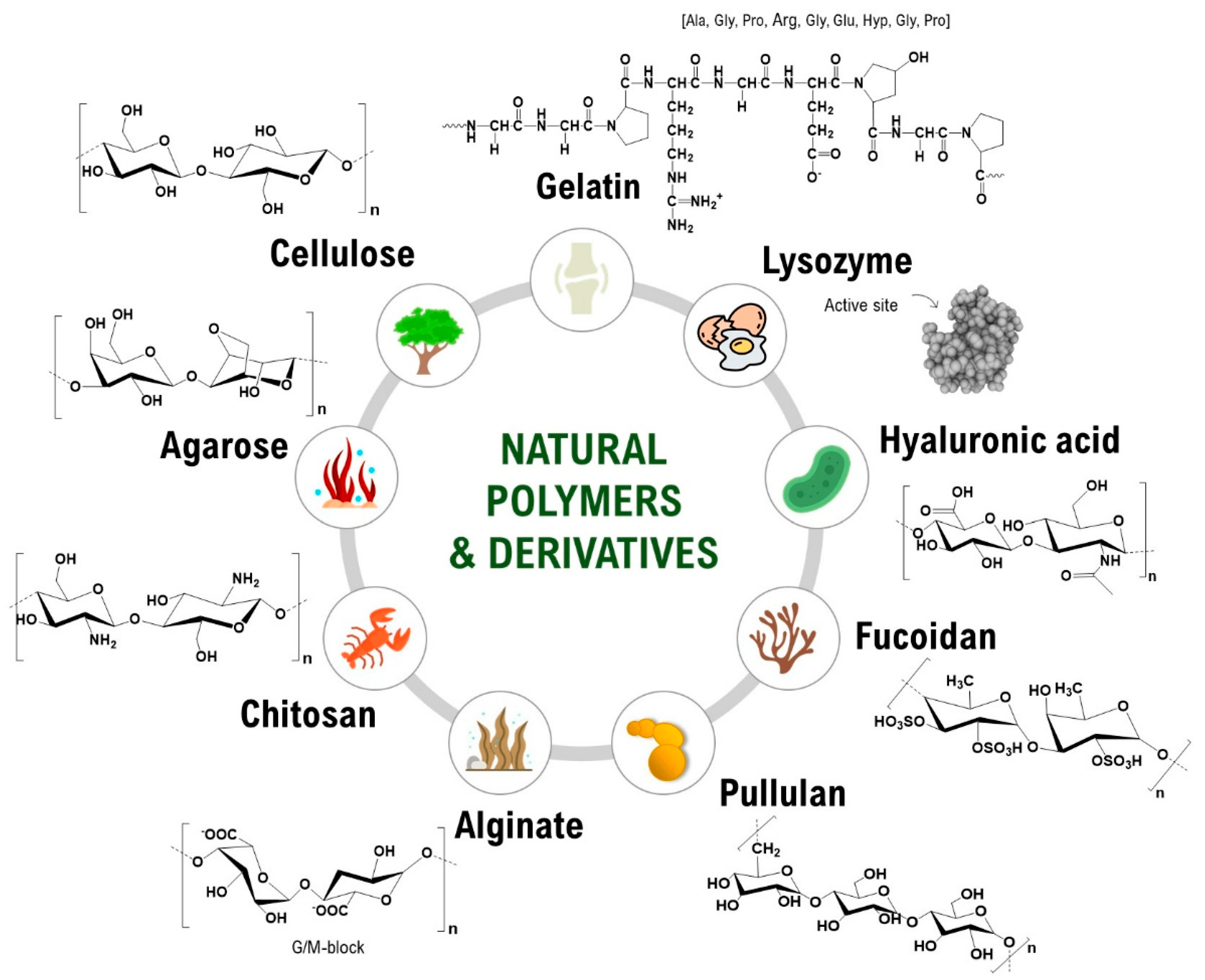 Polymers 16 01159 g001
