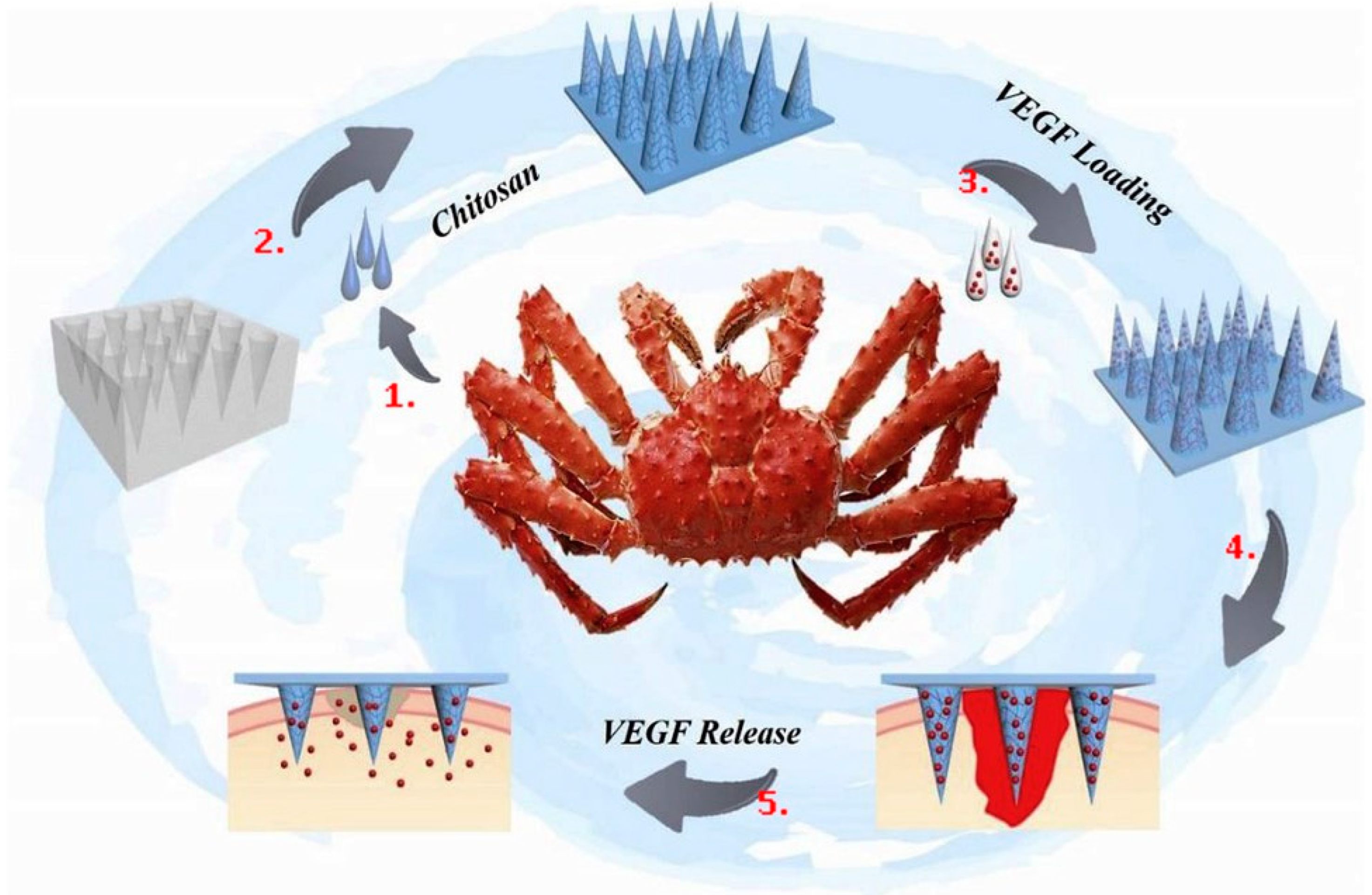 Polymers 16 01159 g003