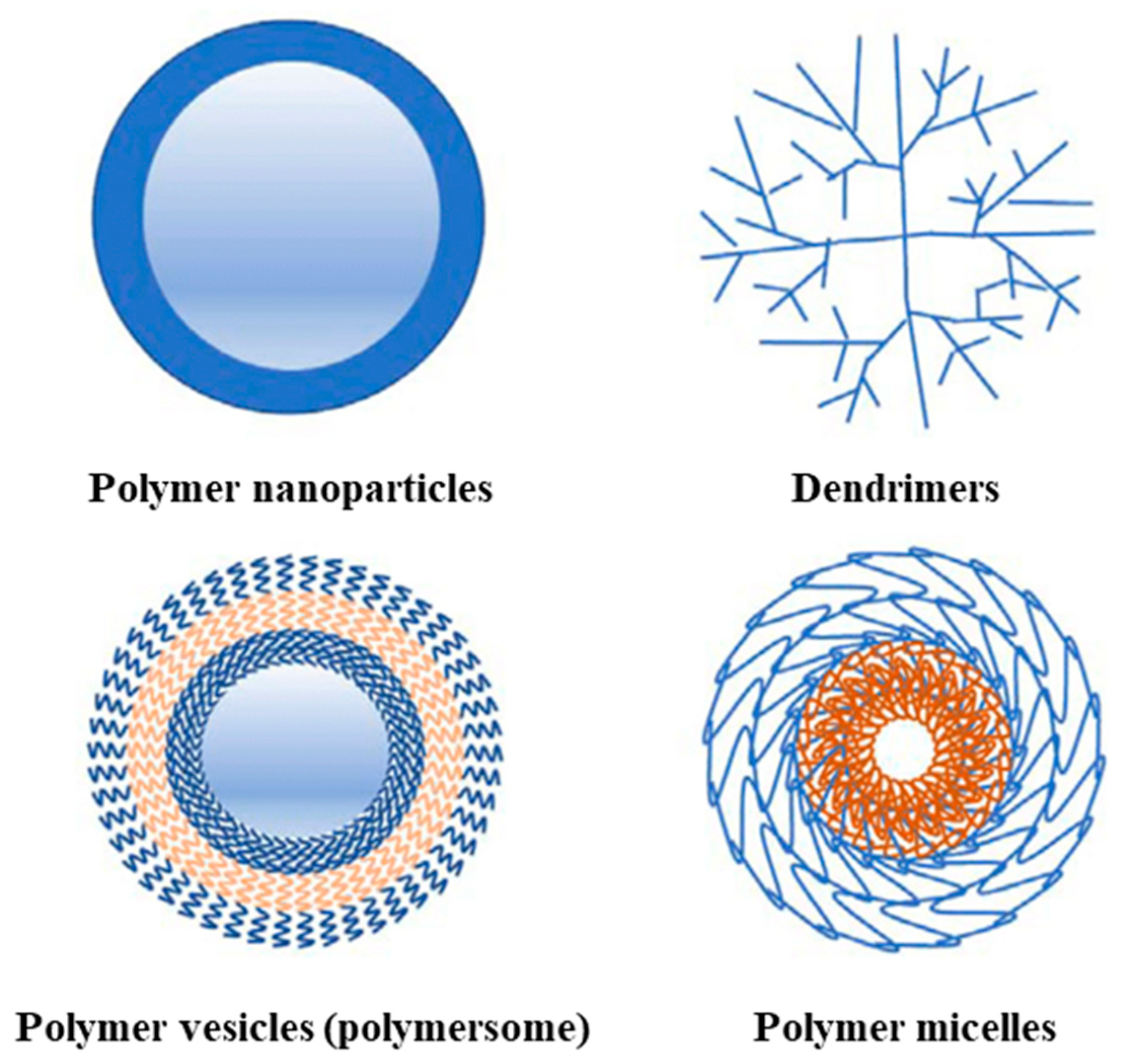 Polymers 16 01159 g008
