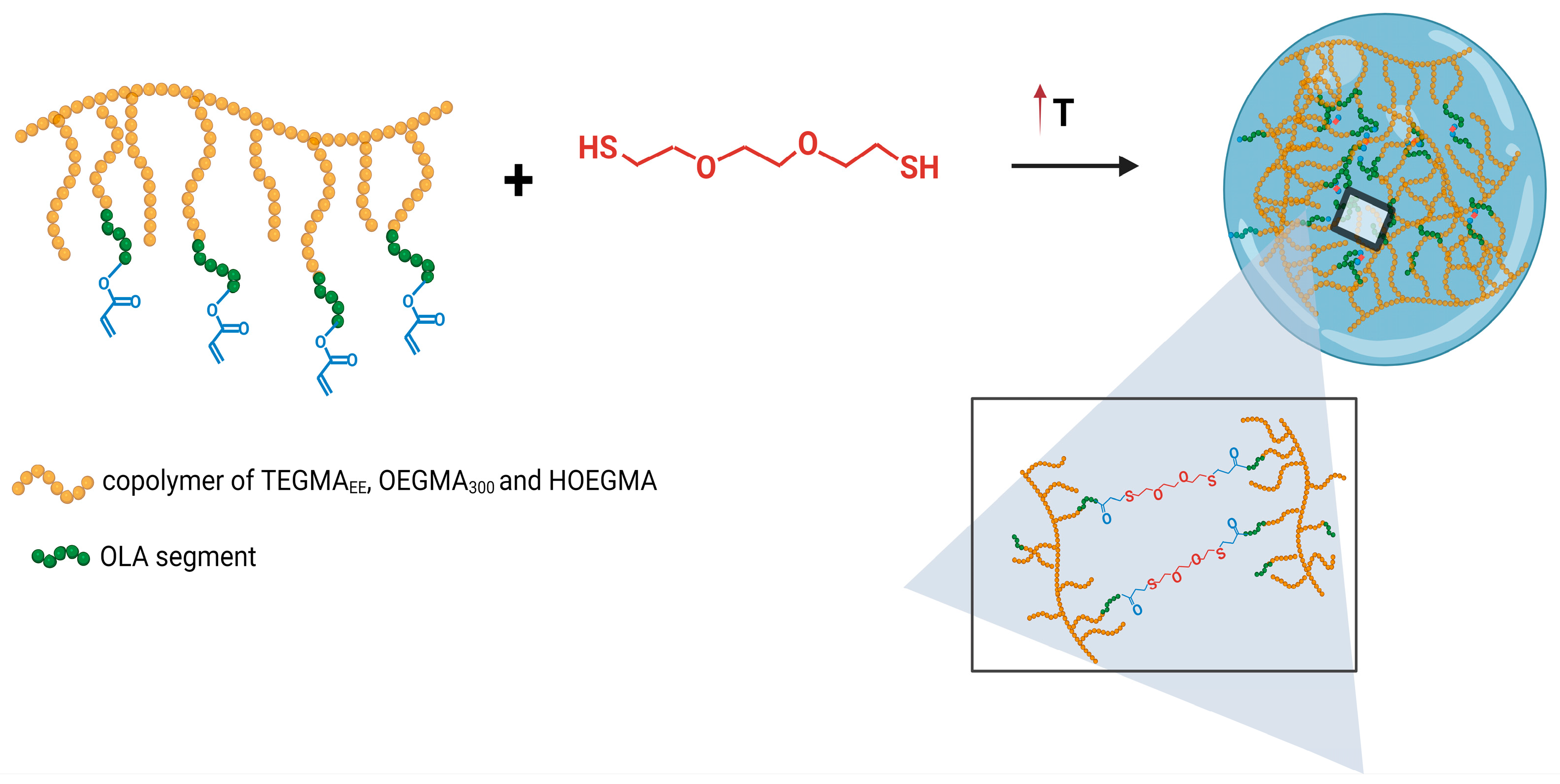 Polymers 16 01163 g004