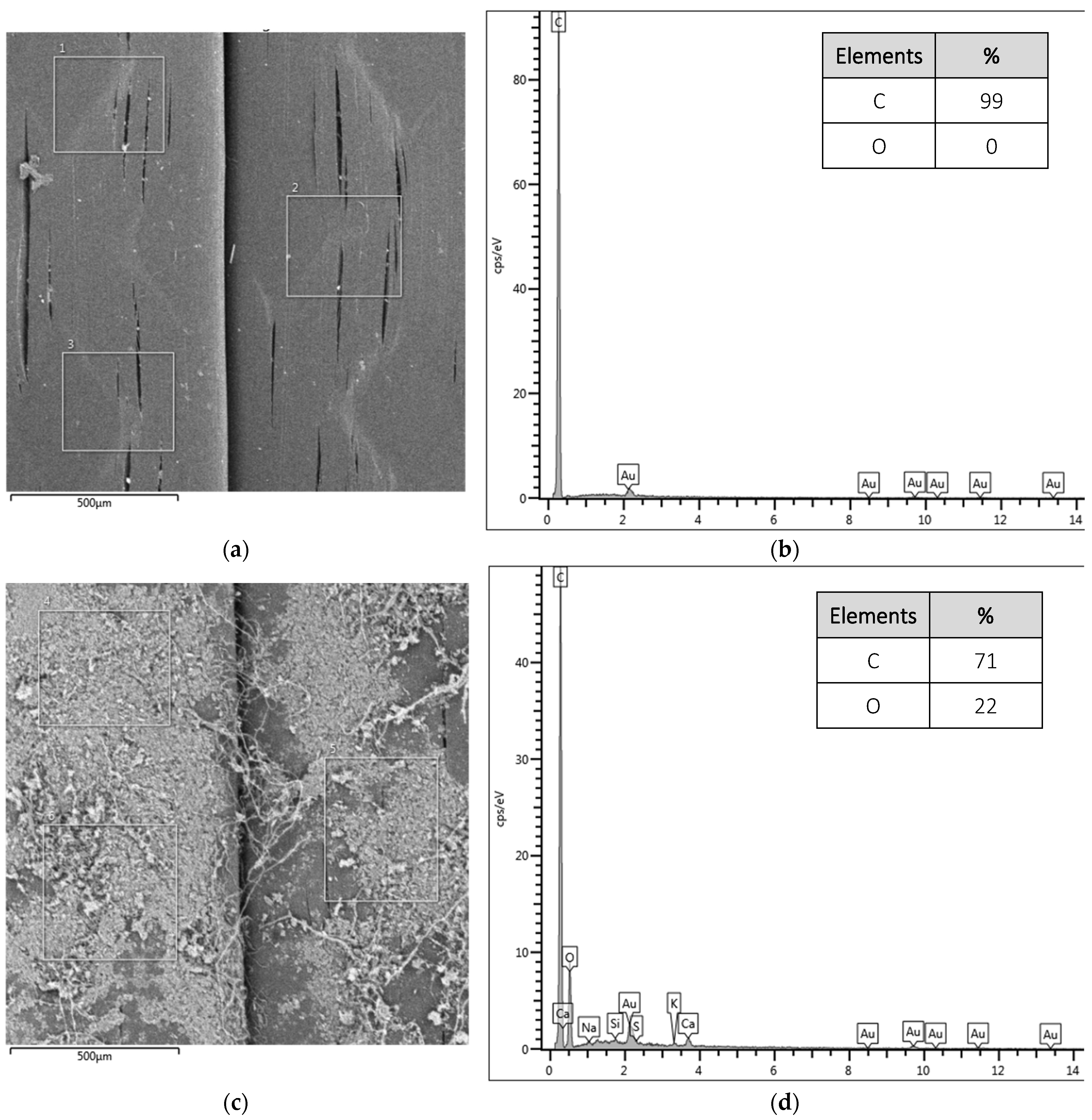 Polymers 16 01168 g004