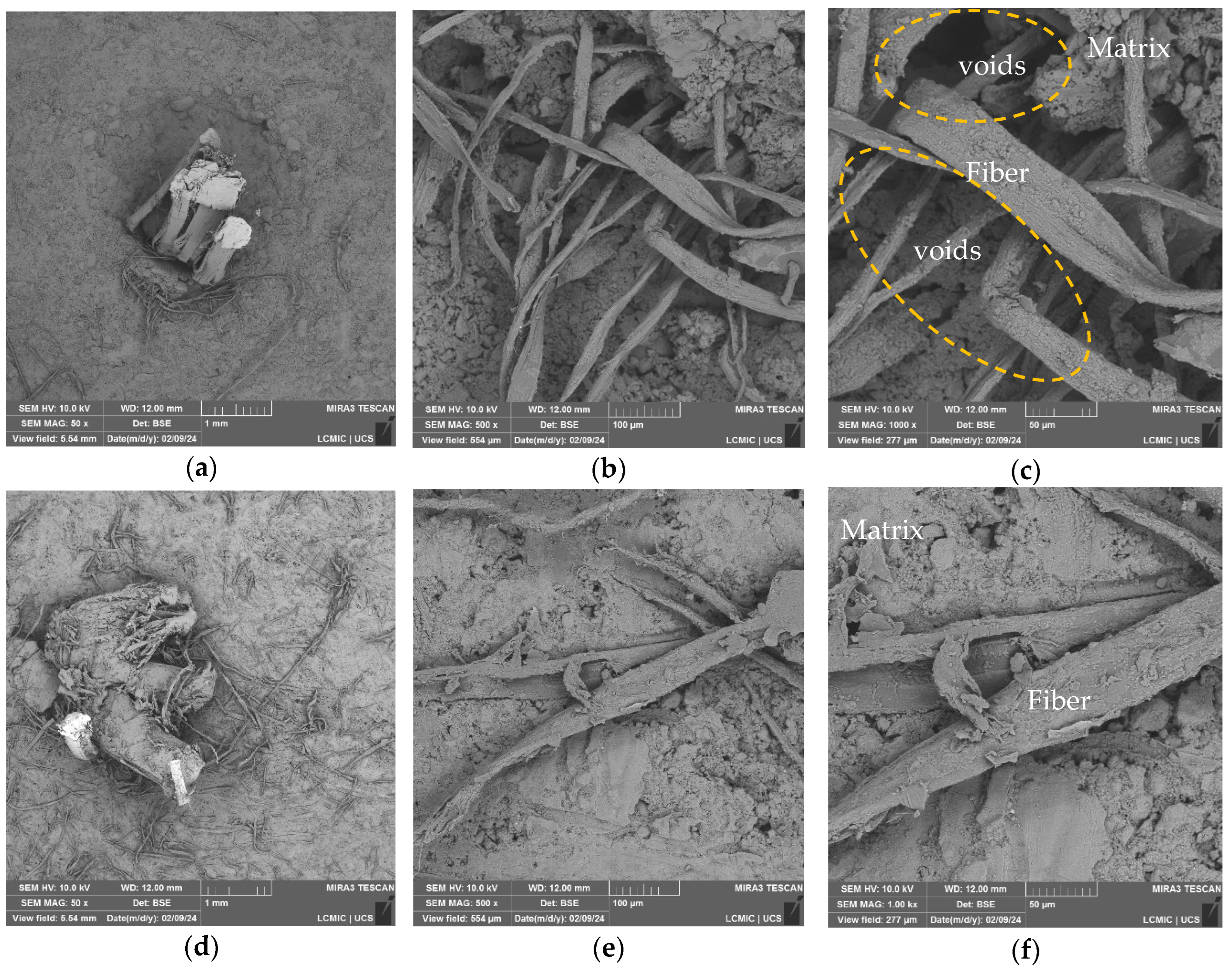 Polymers 16 01168 g005
