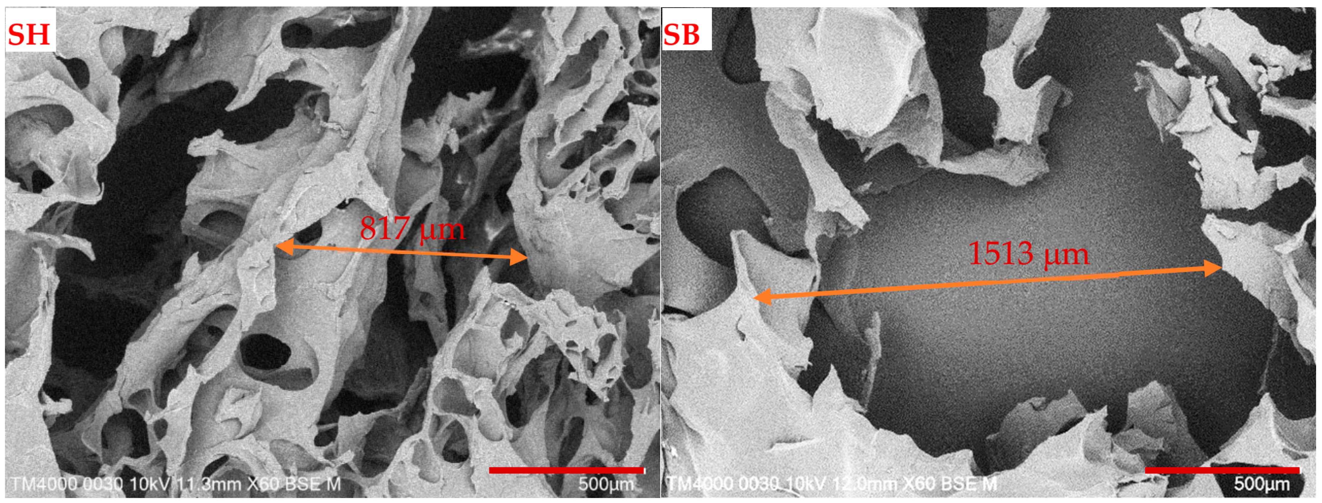 Polymers 16 01195 g004