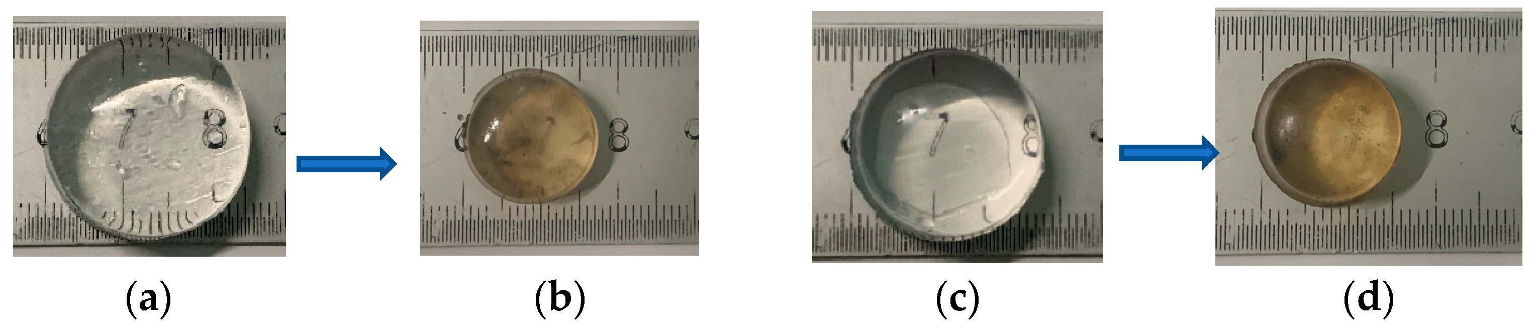 Polymers 16 01195 g012
