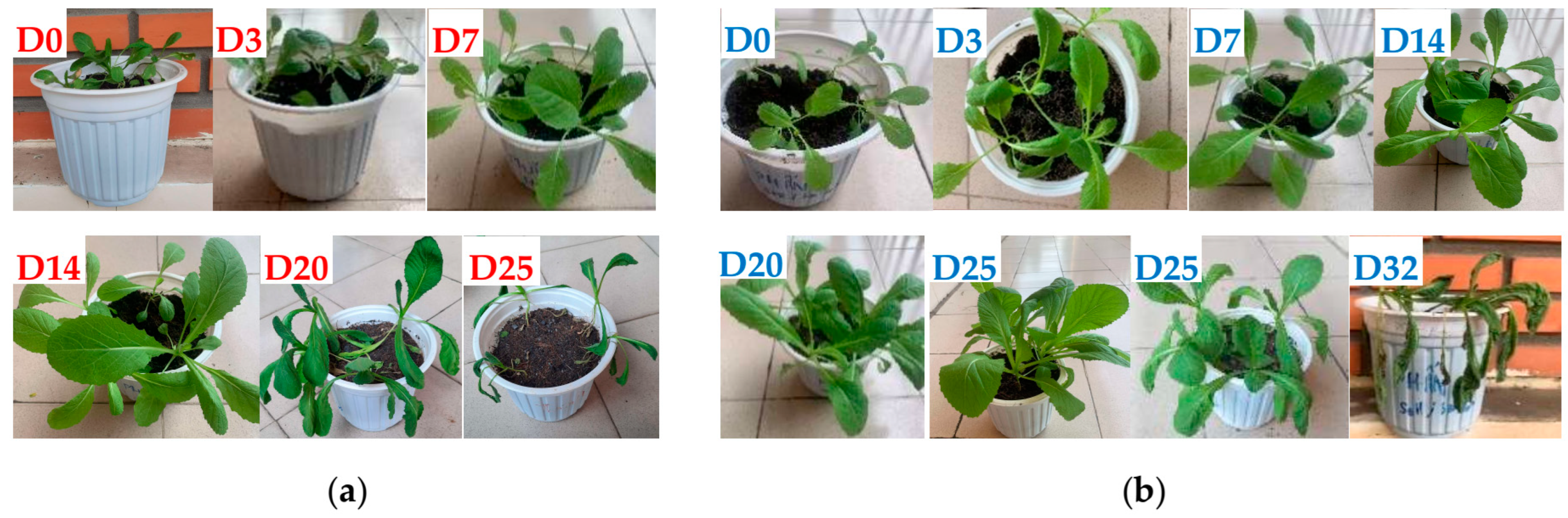 Polymers 16 01195 g013