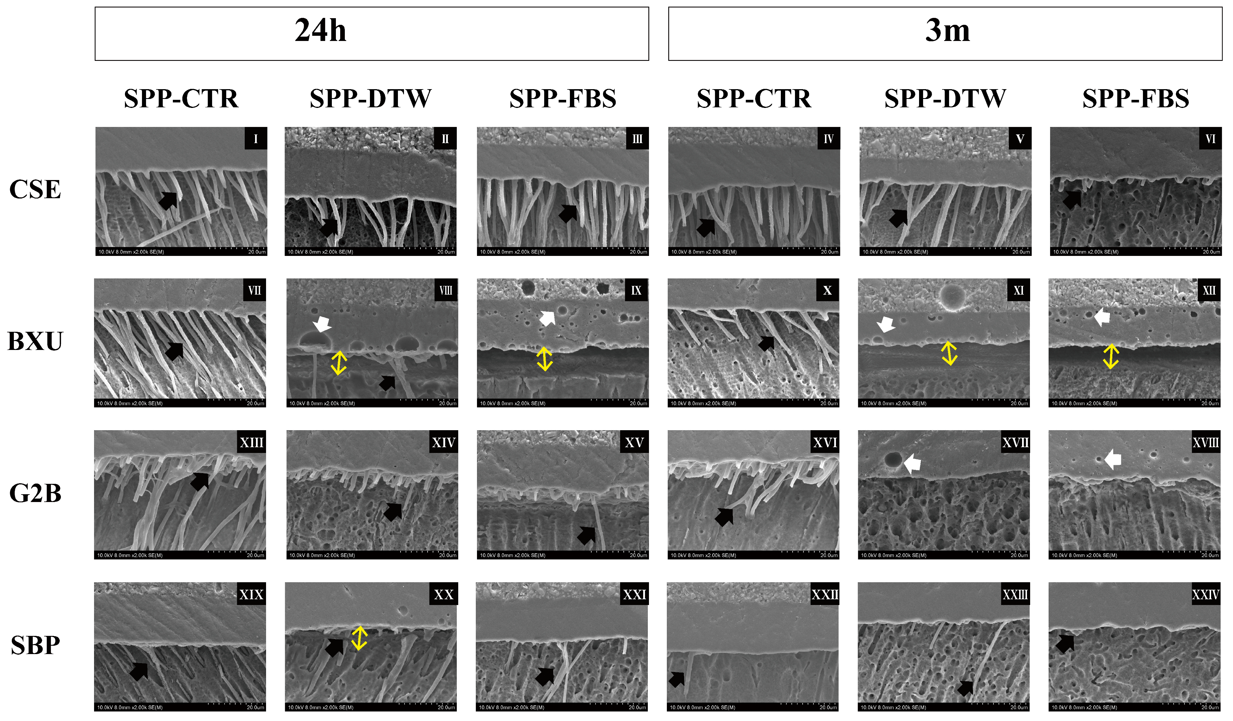 Polymers 16 01219 g003