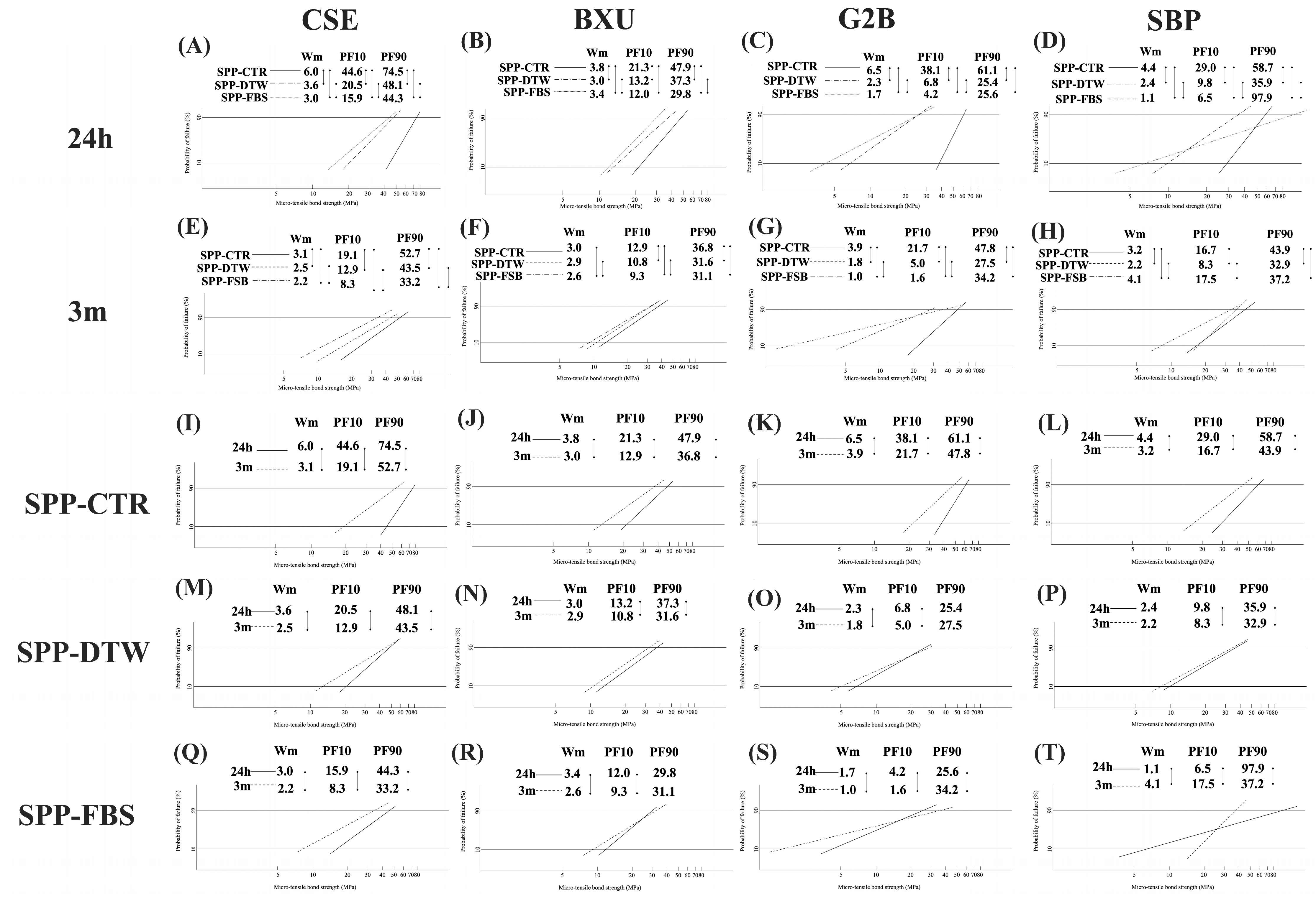 Polymers 16 01219 g004