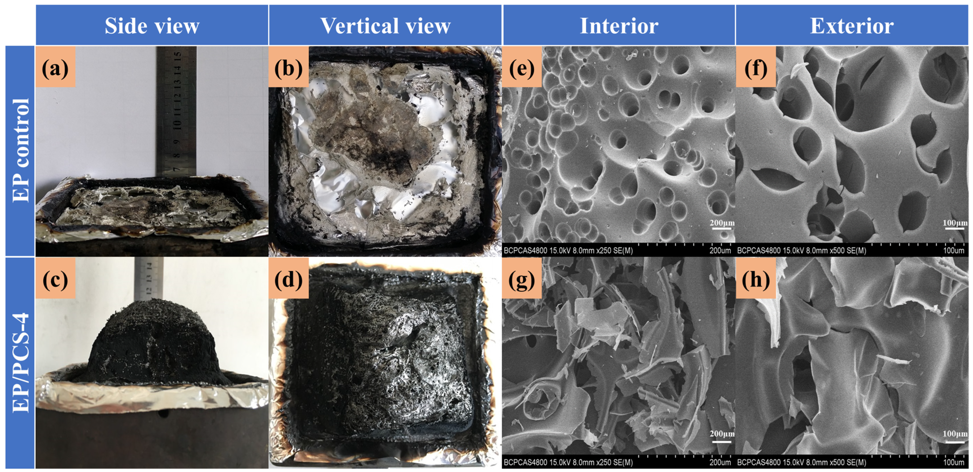 Polymers 16 01224 g007