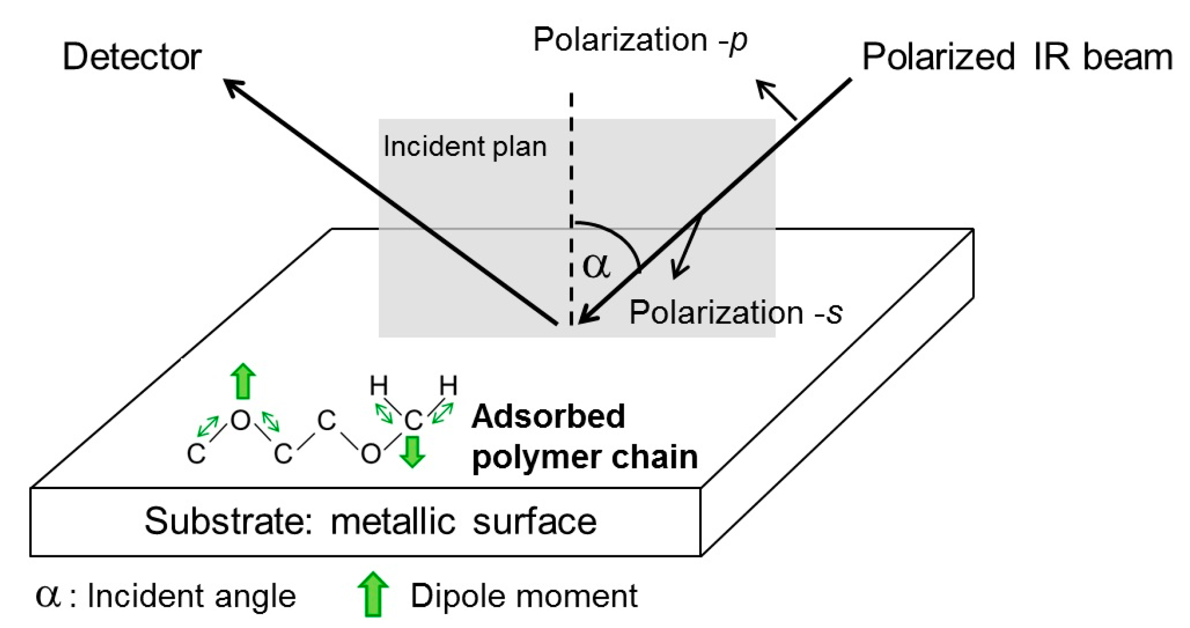 Polymers 16 01244 g003