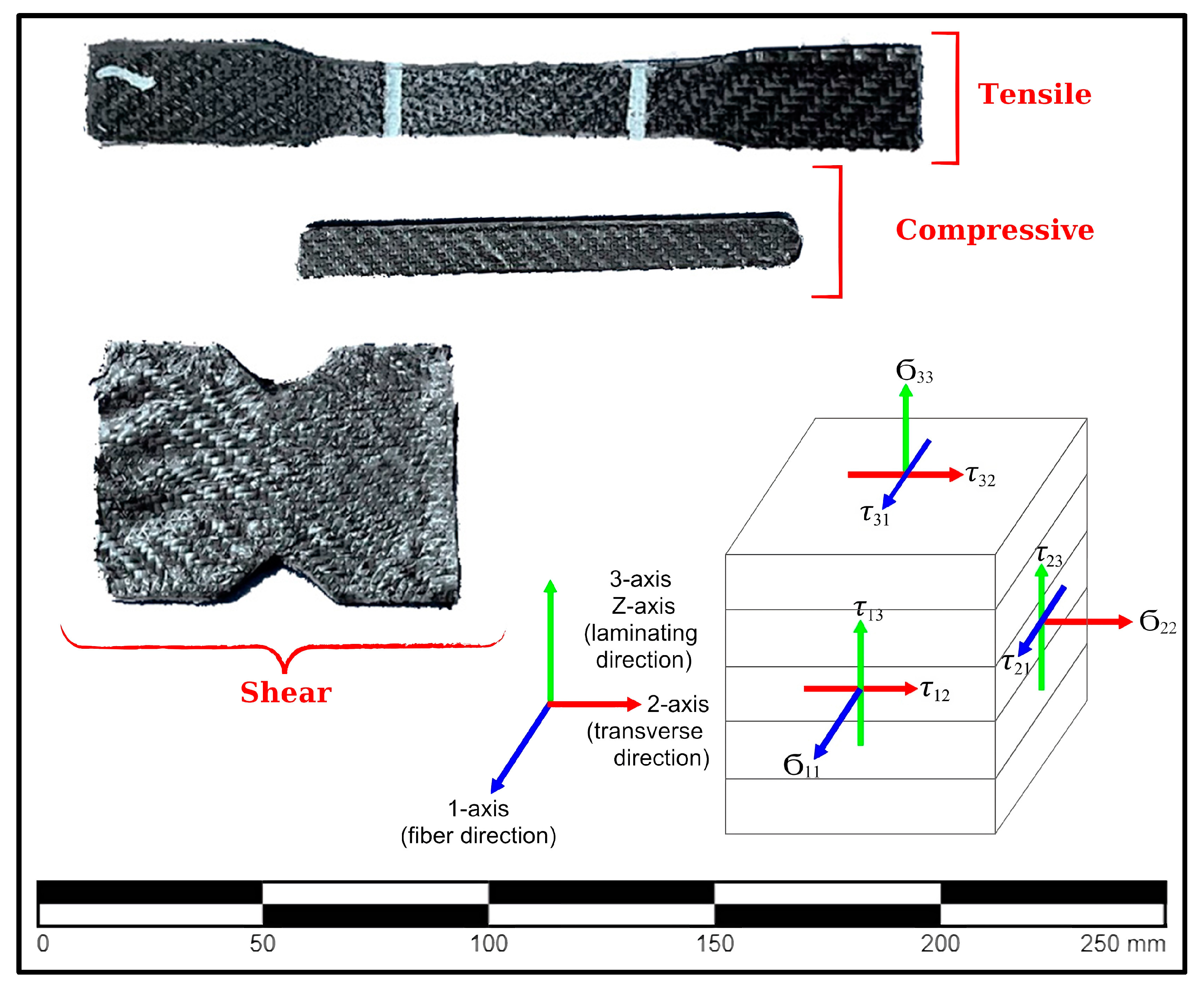 Polymers 16 01257 g004